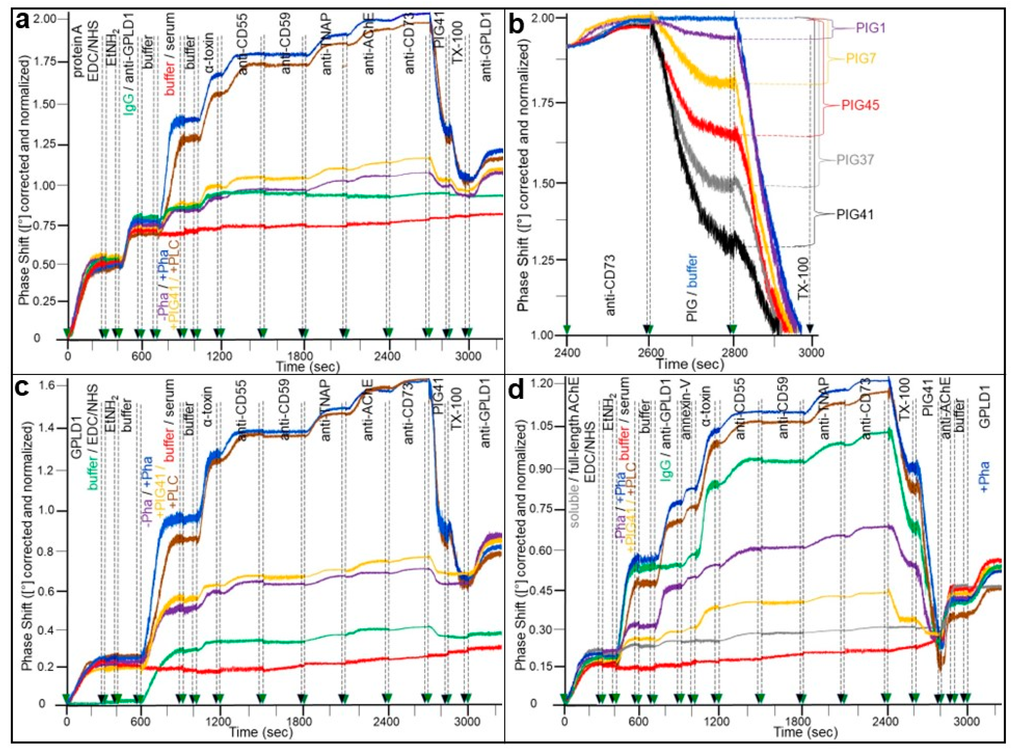 Biomolecules 13 00994 g002