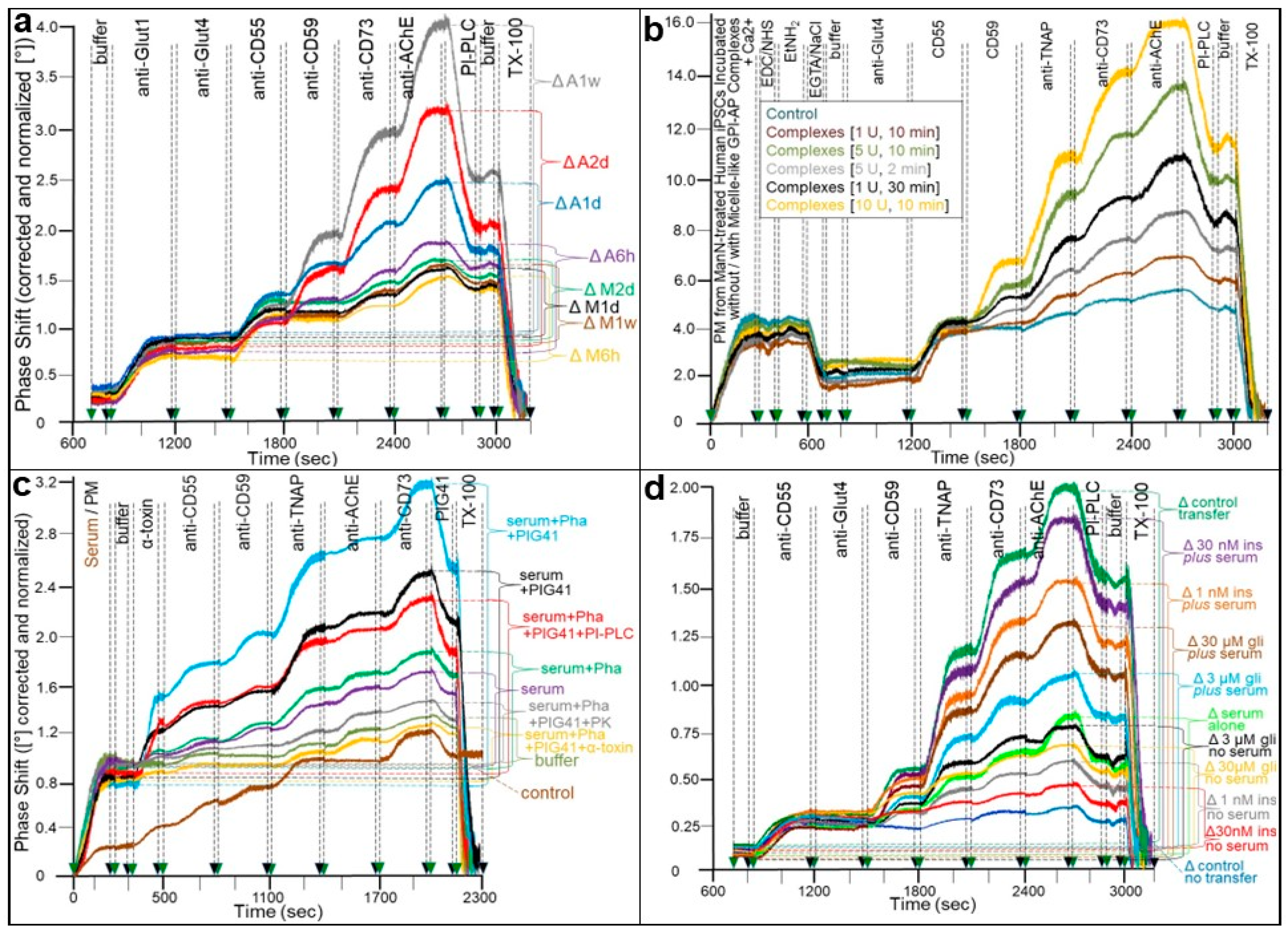 Biomolecules 13 00994 g003
