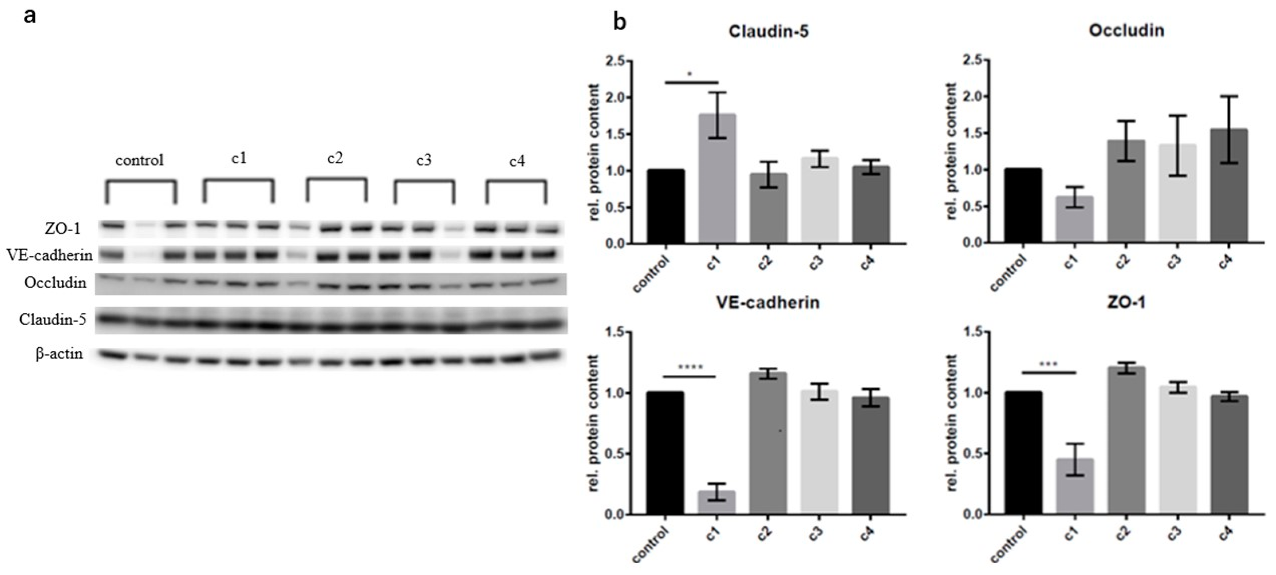 Biomolecules 13 00995 g001