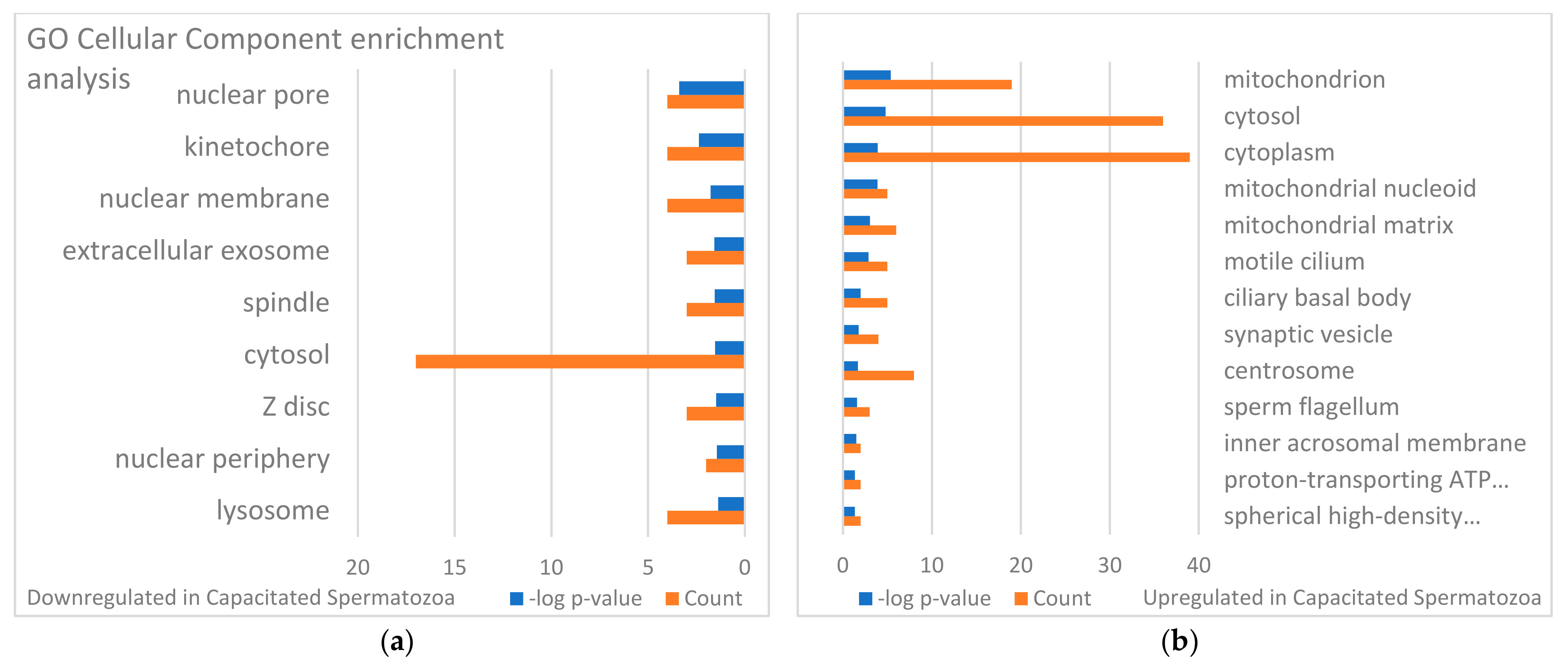 Biomolecules 13 00996 g007 Biomolecules 13 00996 g007