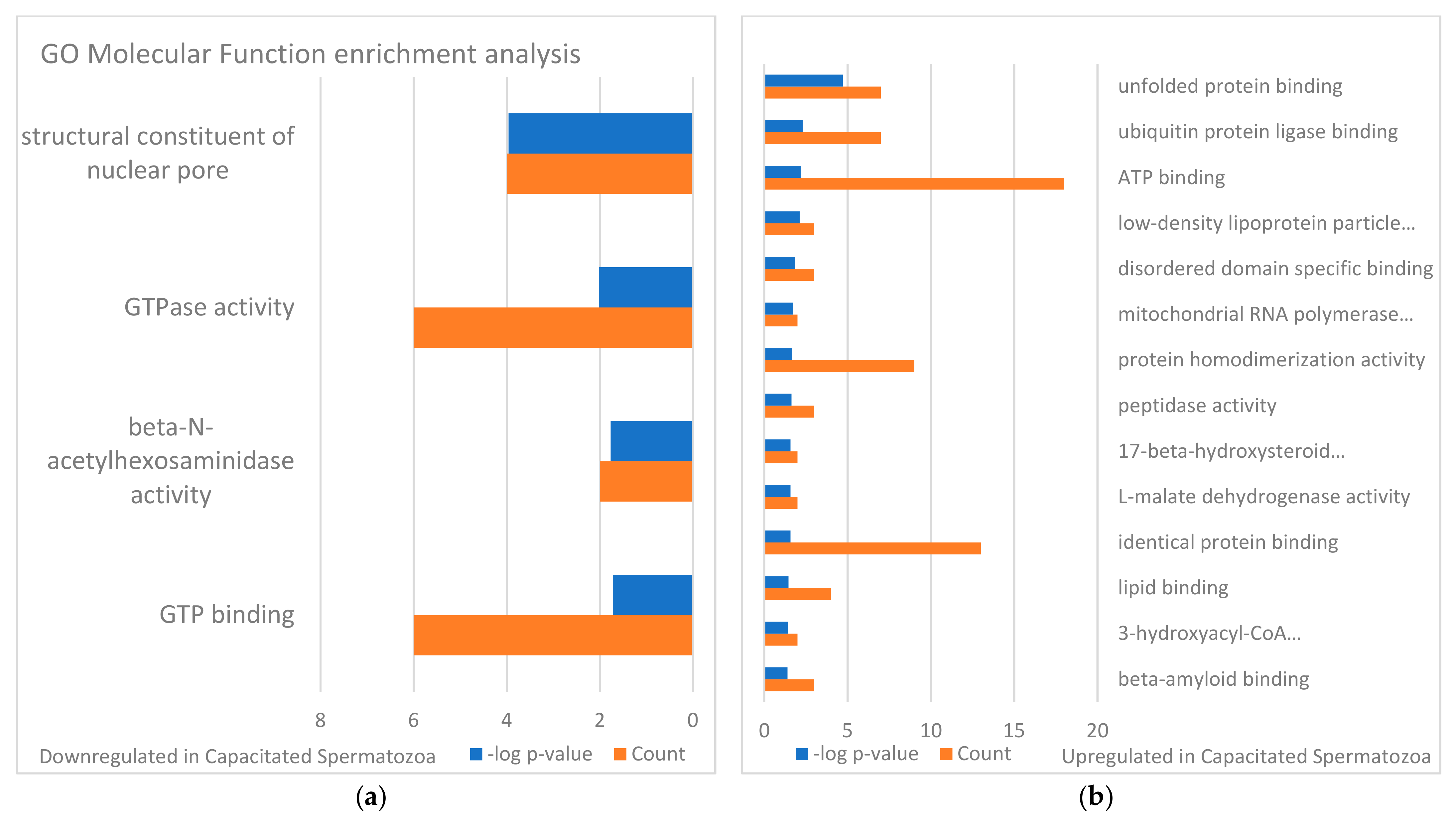 Biomolecules 13 00996 g008 Biomolecules 13 00996 g008