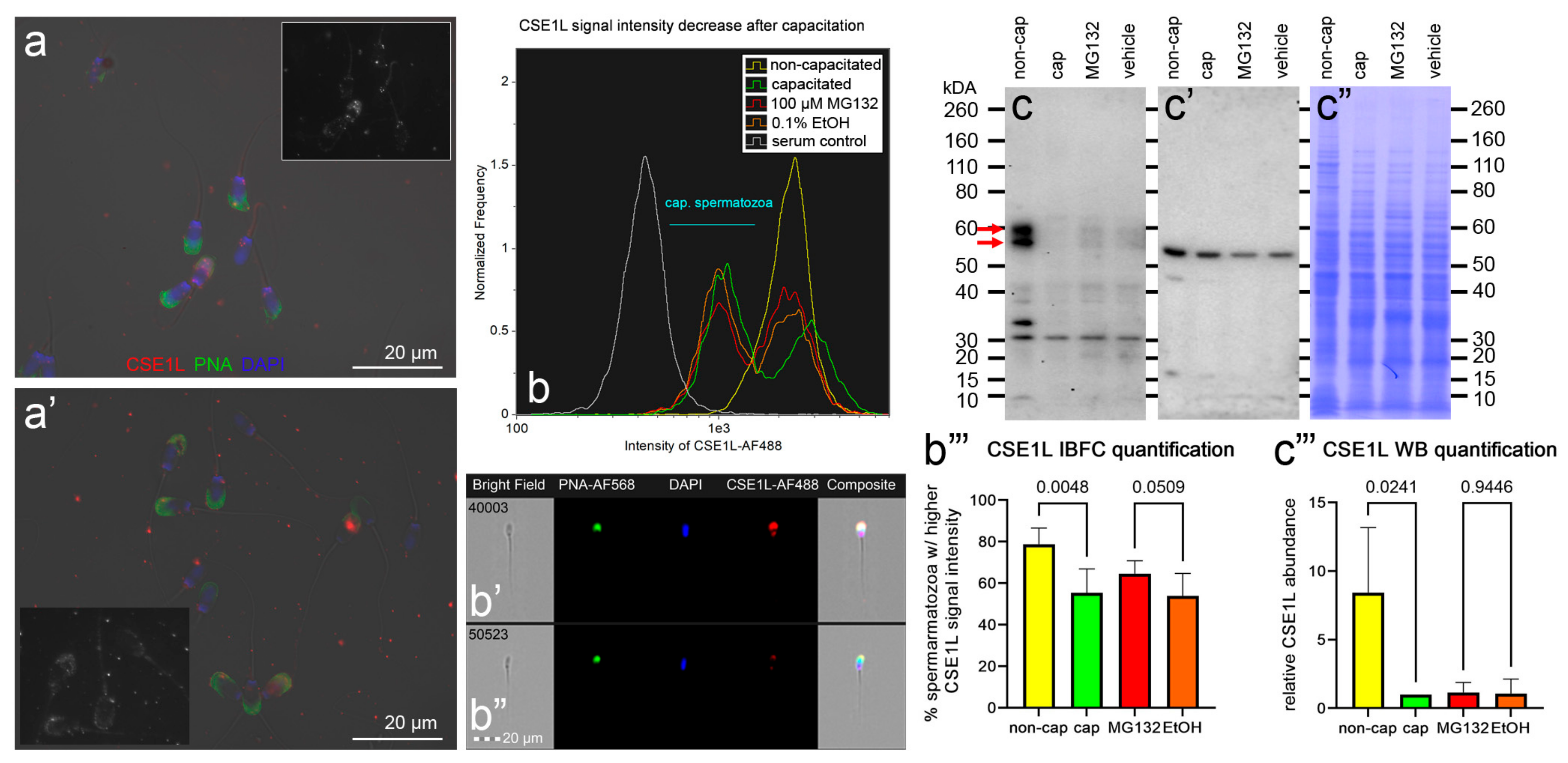 Biomolecules 13 00996 g009 Biomolecules 13 00996 g009