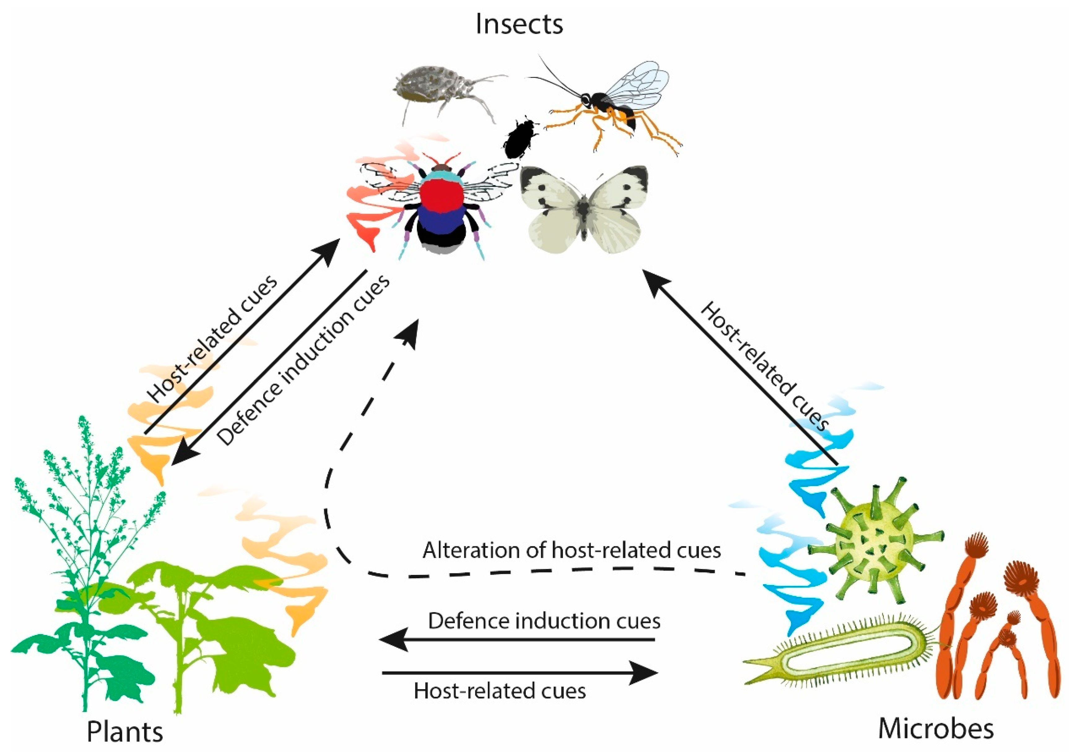 Using airborne DNA to monitor insect biodiversity - Tech Explorist