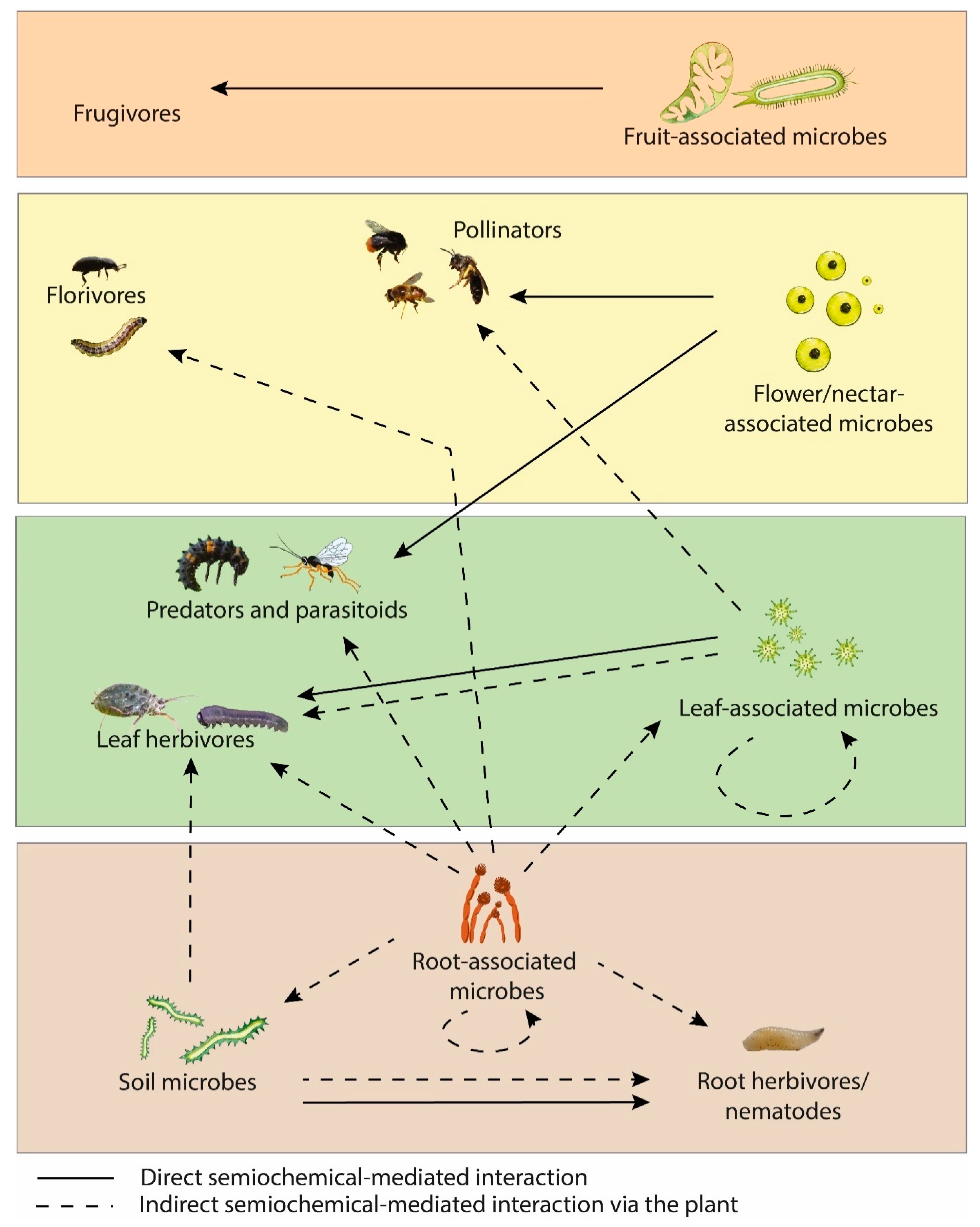 Biomolecules 13 00997 g002 Biomolecules 13 00997 g002