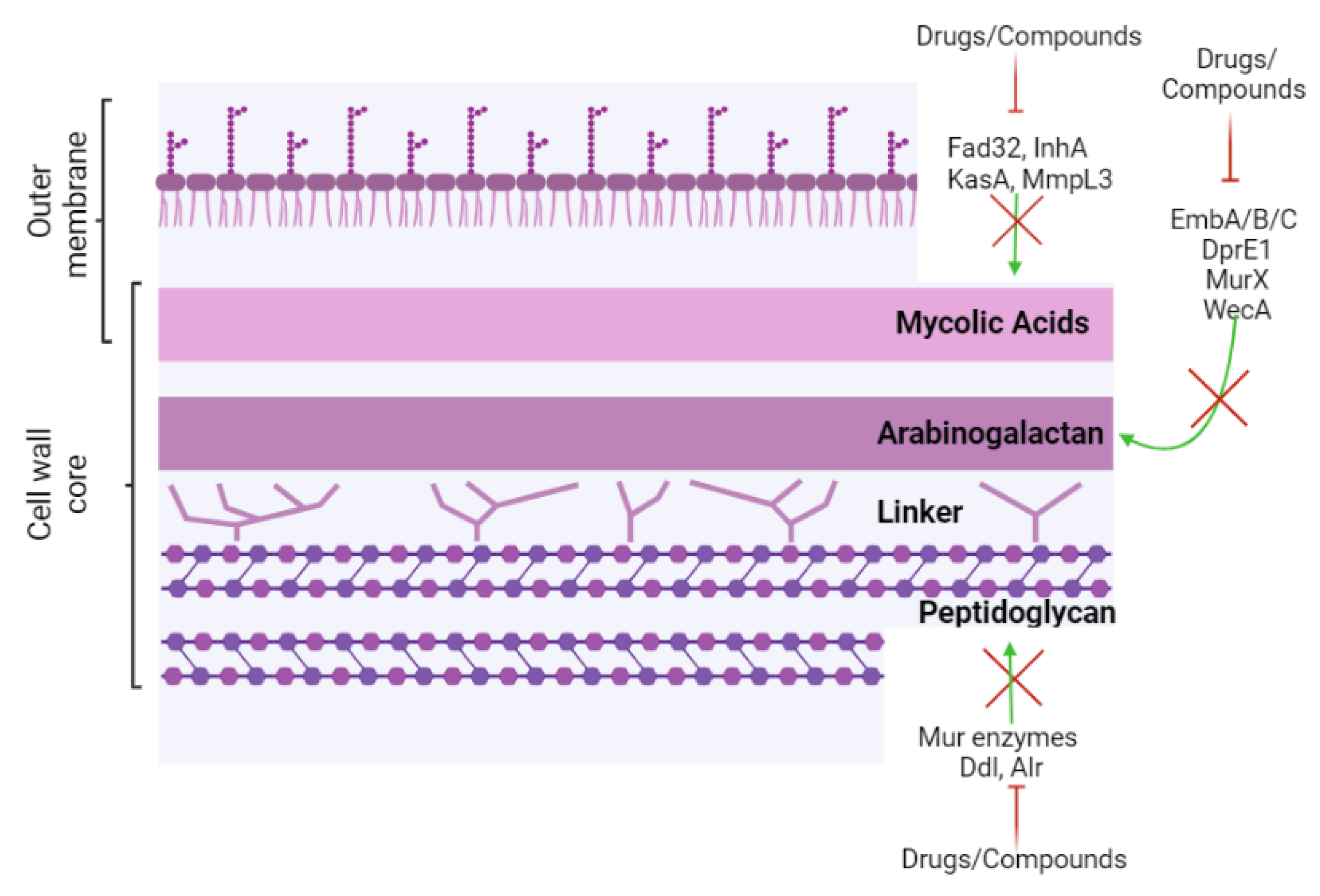 Biomolecules 13 00999 g001
