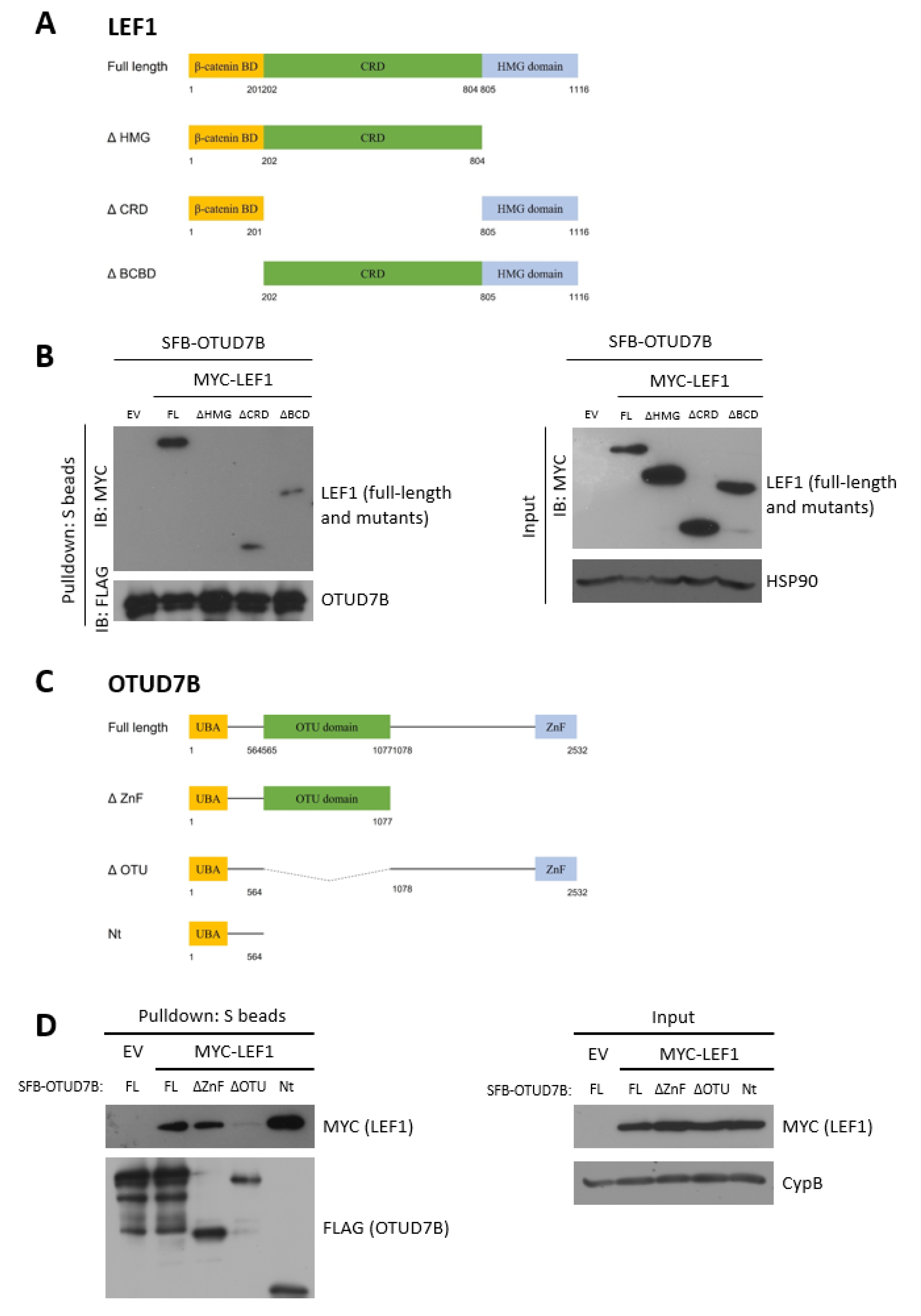 Biomolecules 13 01001 g002