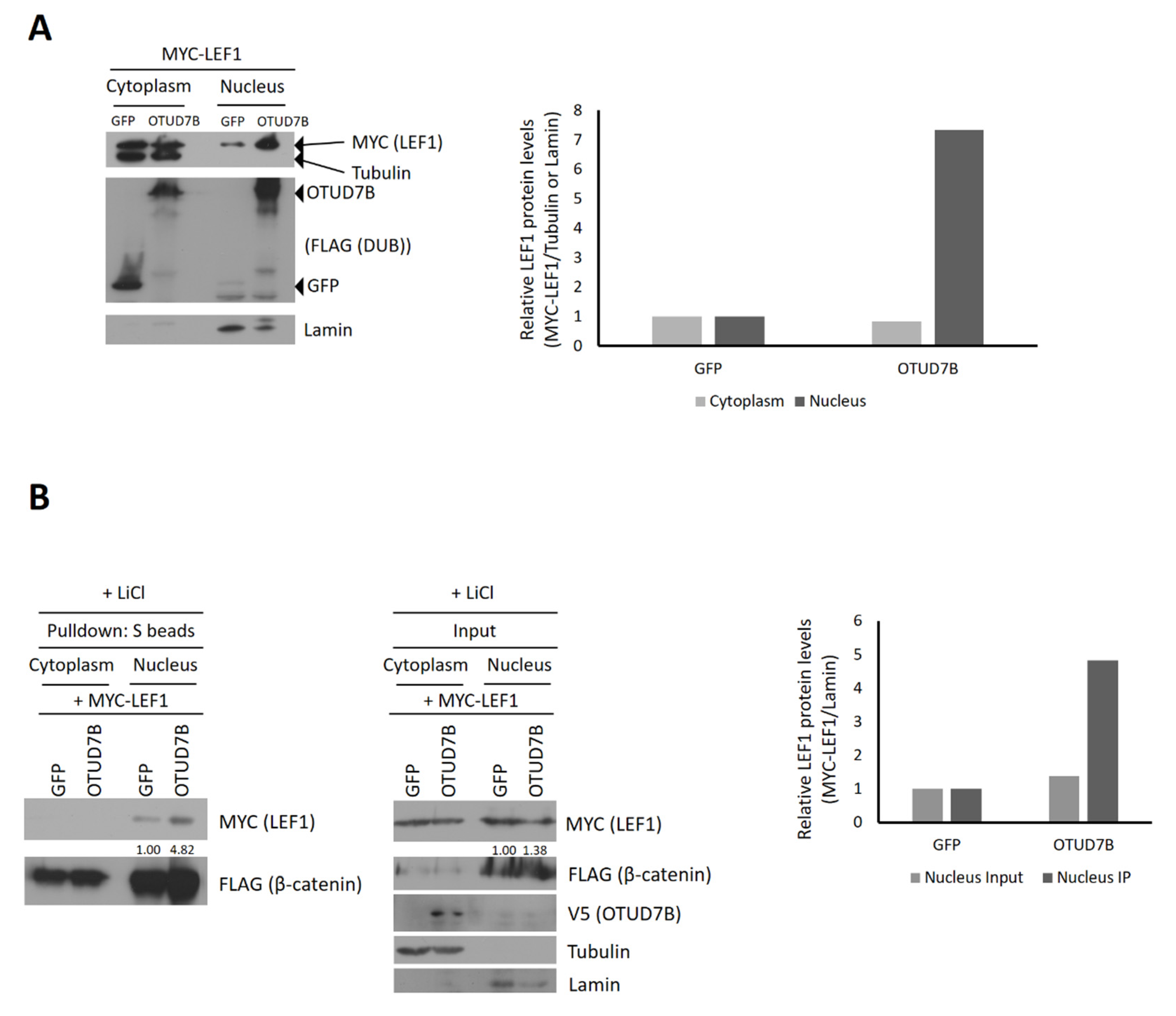 Biomolecules 13 01001 g004