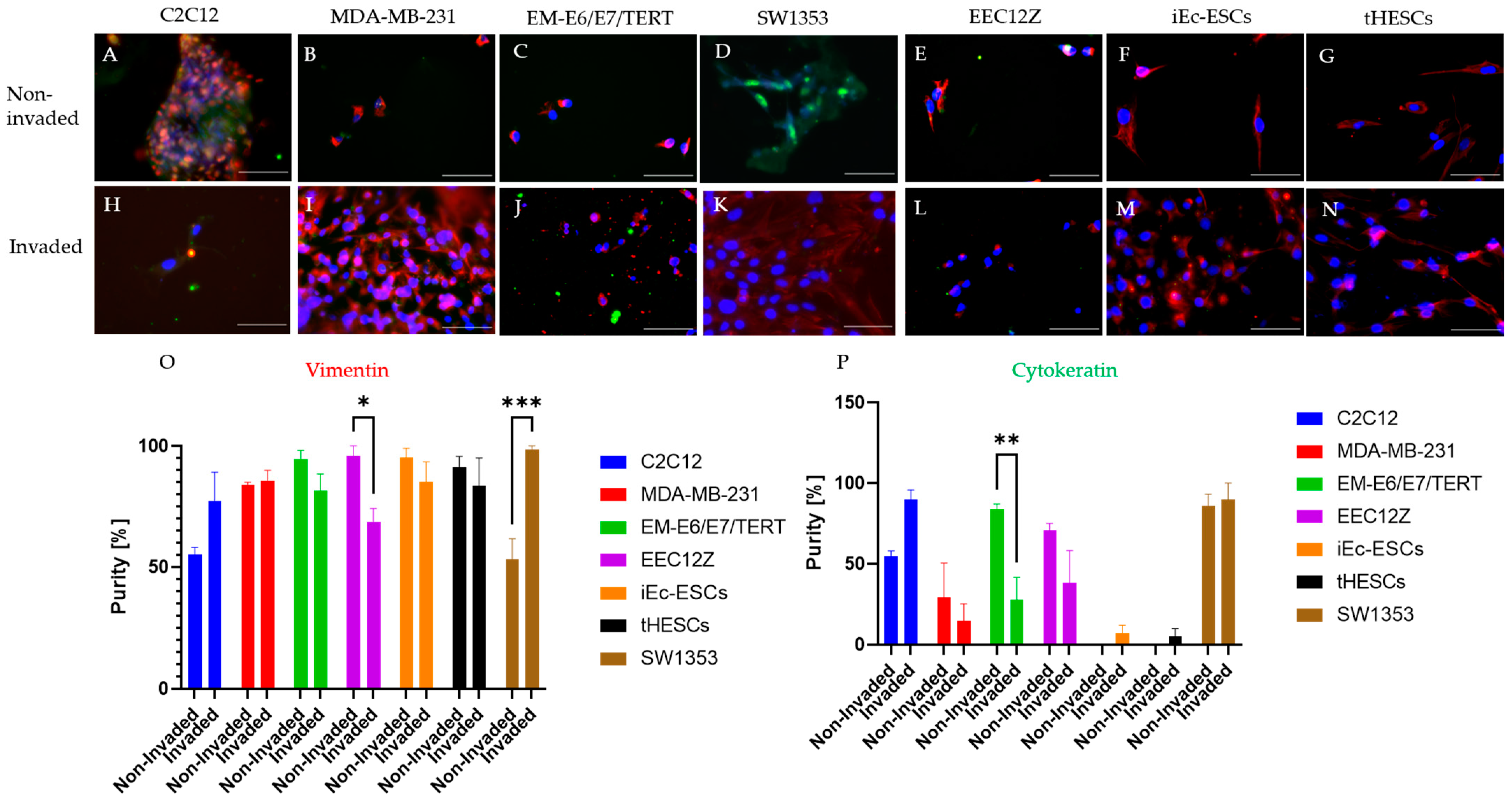 Biomolecules 13 01003 g002 Biomolecules 13 01003 g002