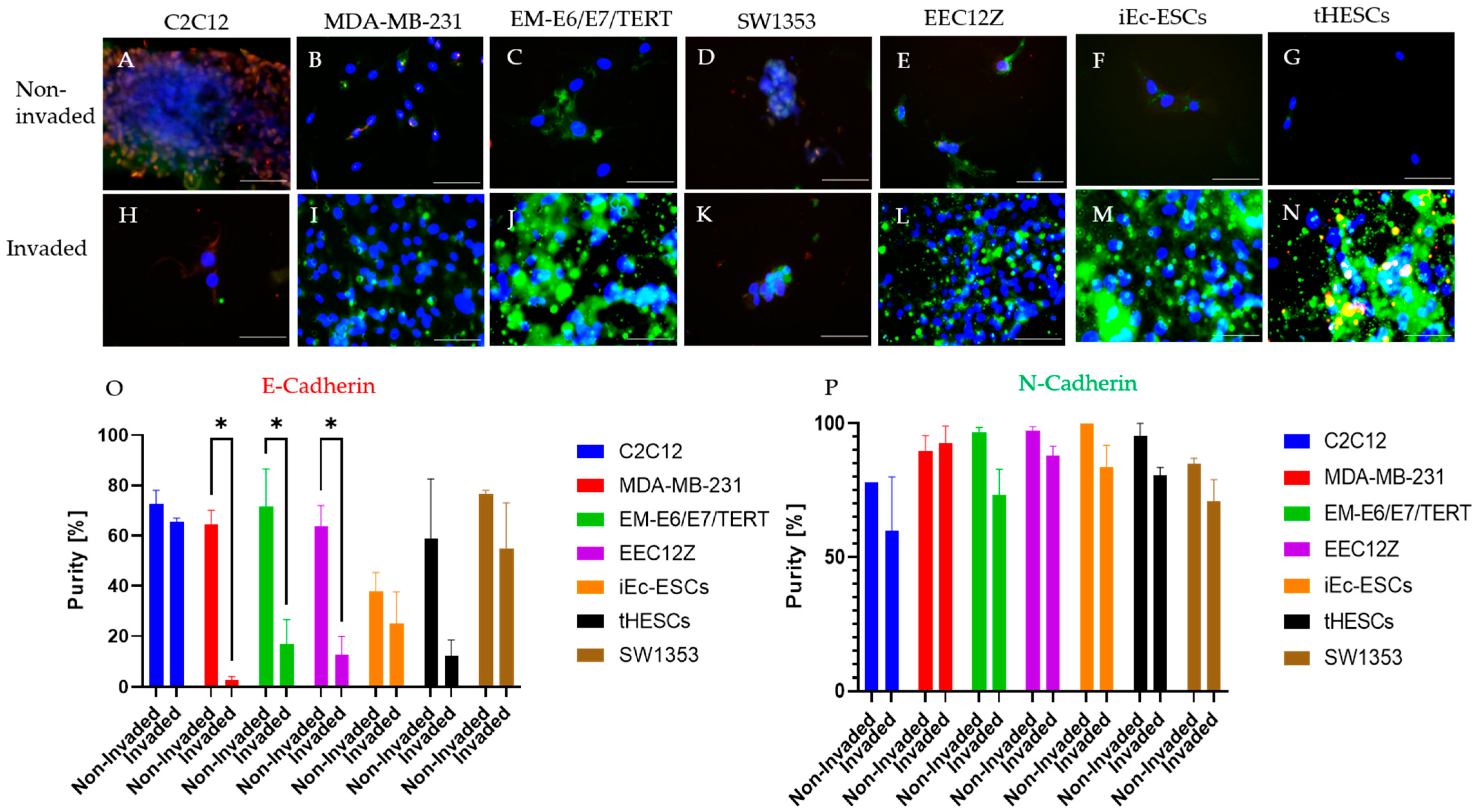 Biomolecules 13 01003 g003 Biomolecules 13 01003 g003