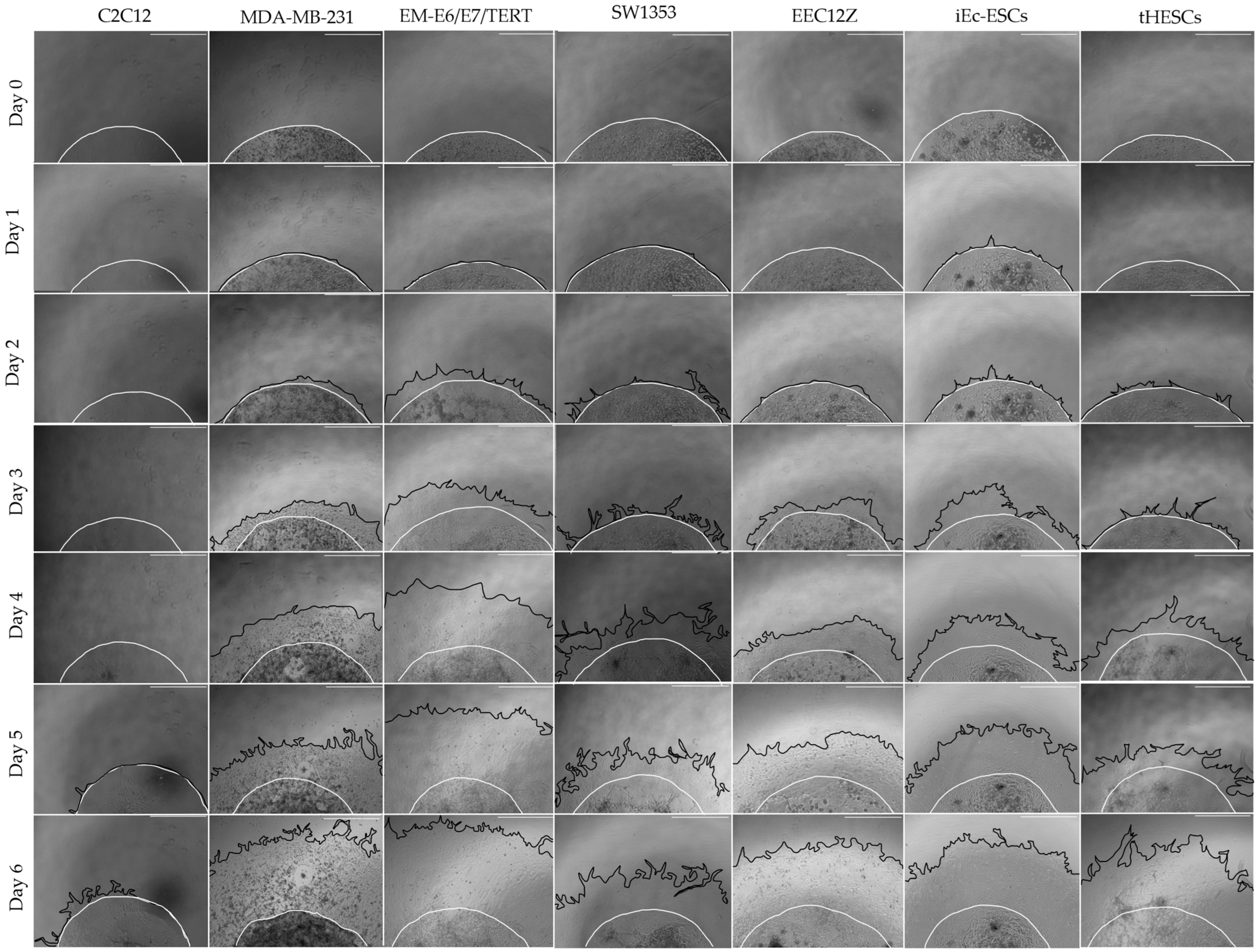 Biomolecules 13 01003 g004 Biomolecules 13 01003 g004
