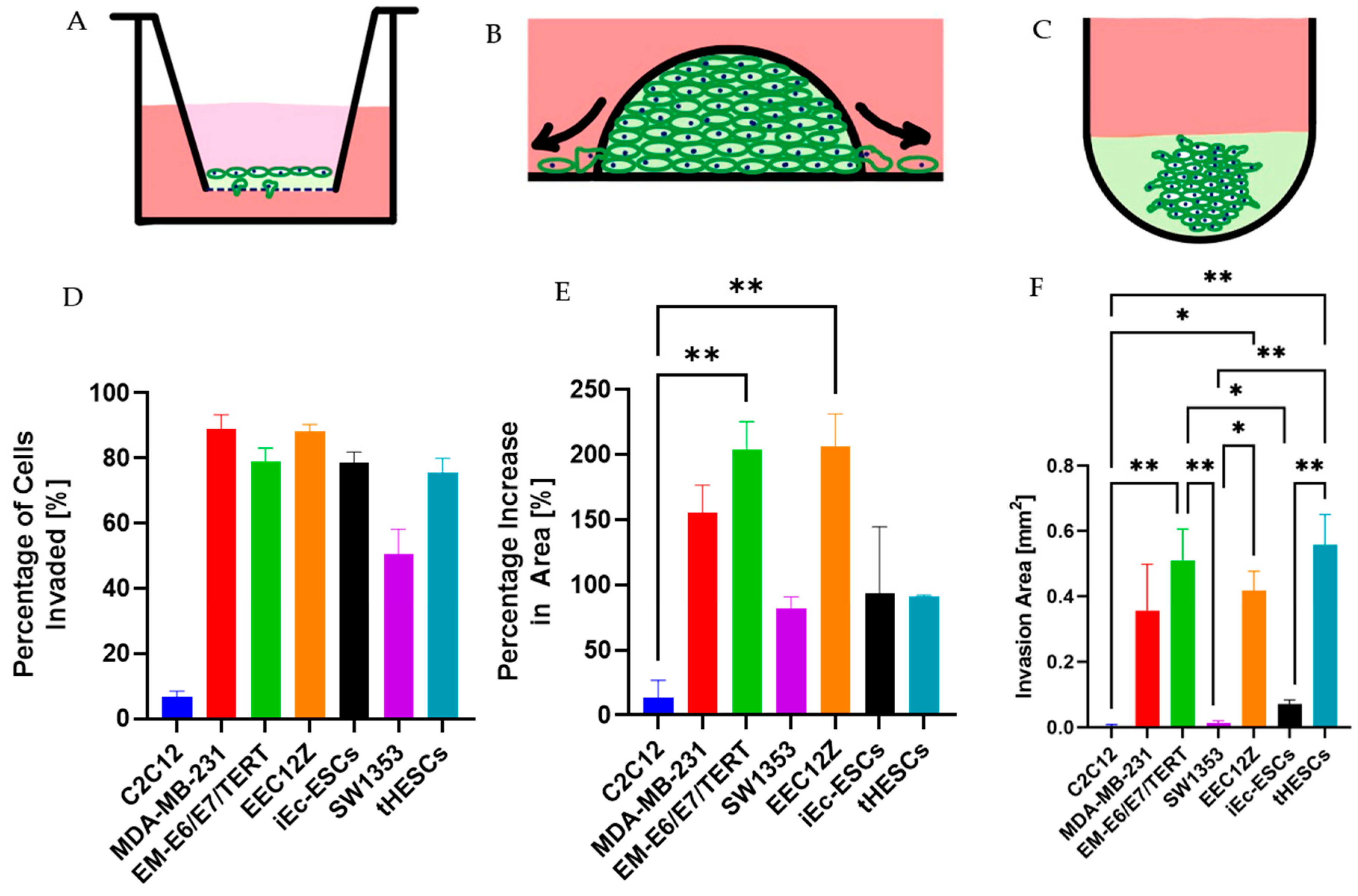Biomolecules 13 01003 g008 Biomolecules 13 01003 g008