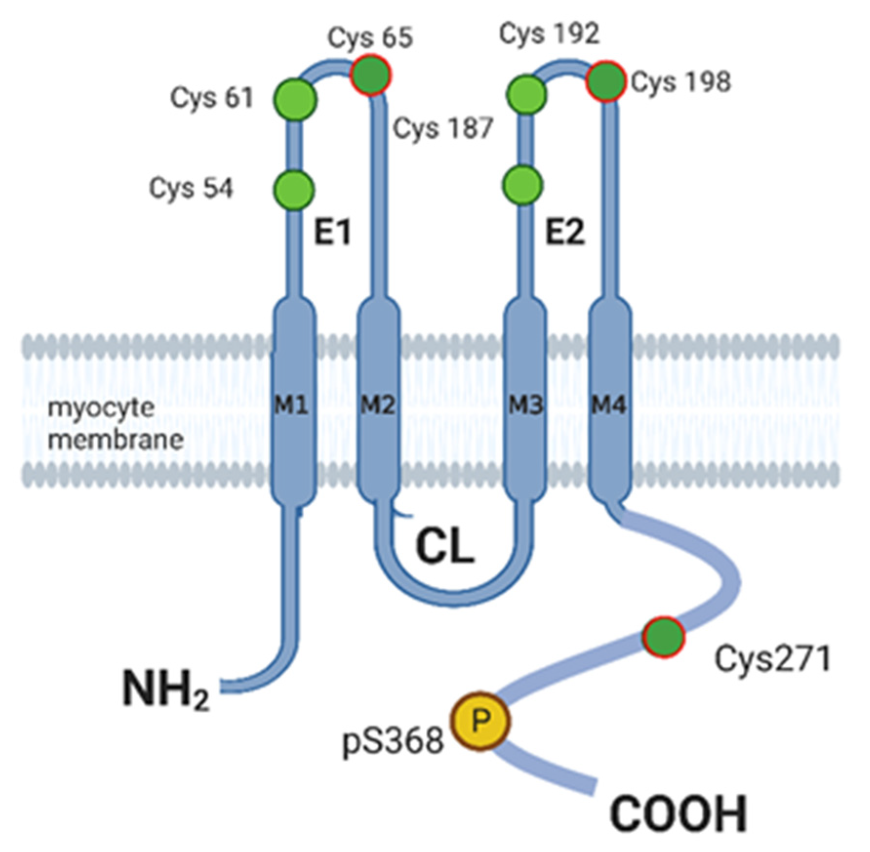Biomolecules 13 01005 g002 Biomolecules 13 01005 g002