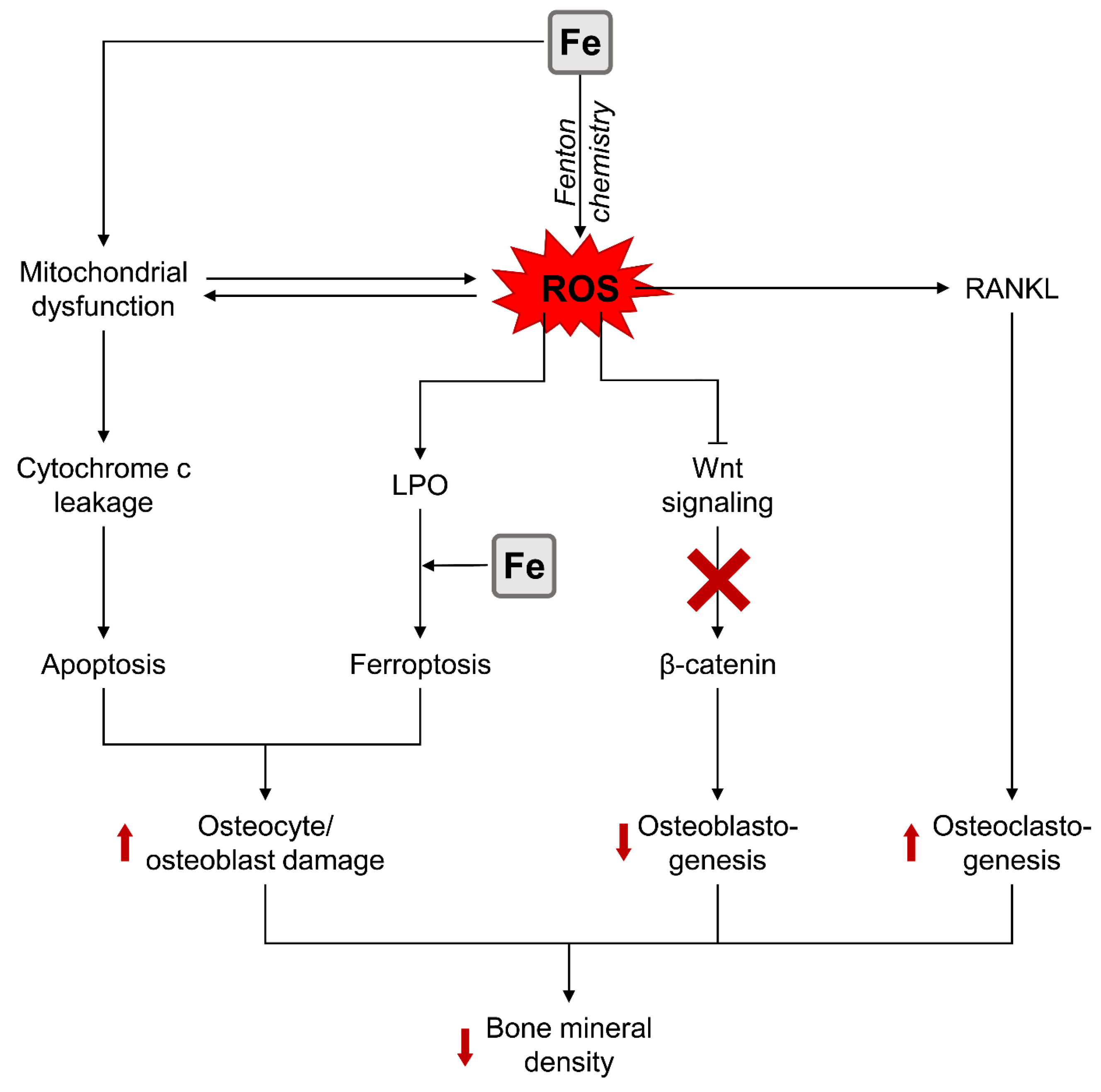 Biomolecules 13 01006 g002 Biomolecules 13 01006 g002
