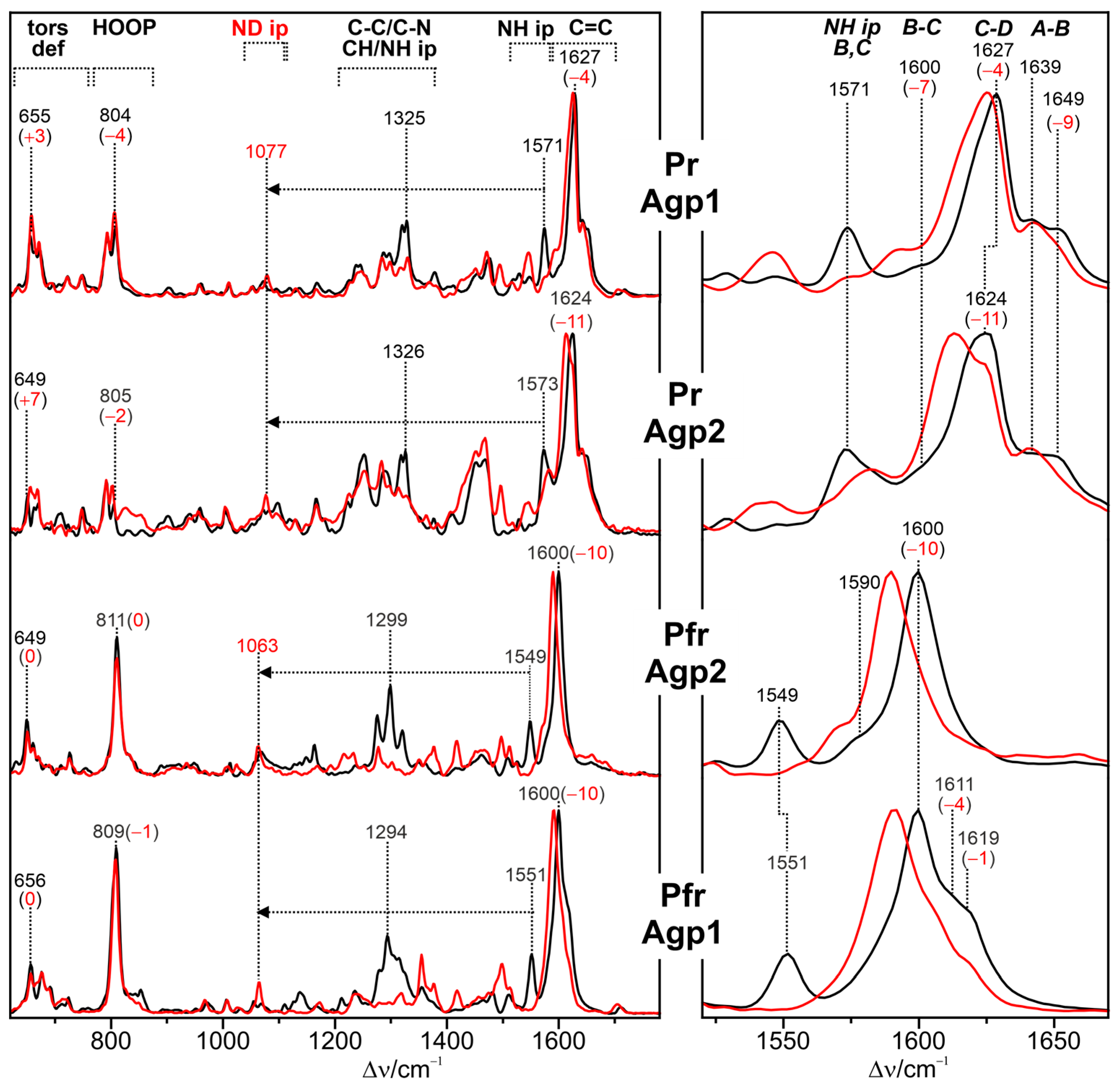 Biomolecules 13 01007 g002
