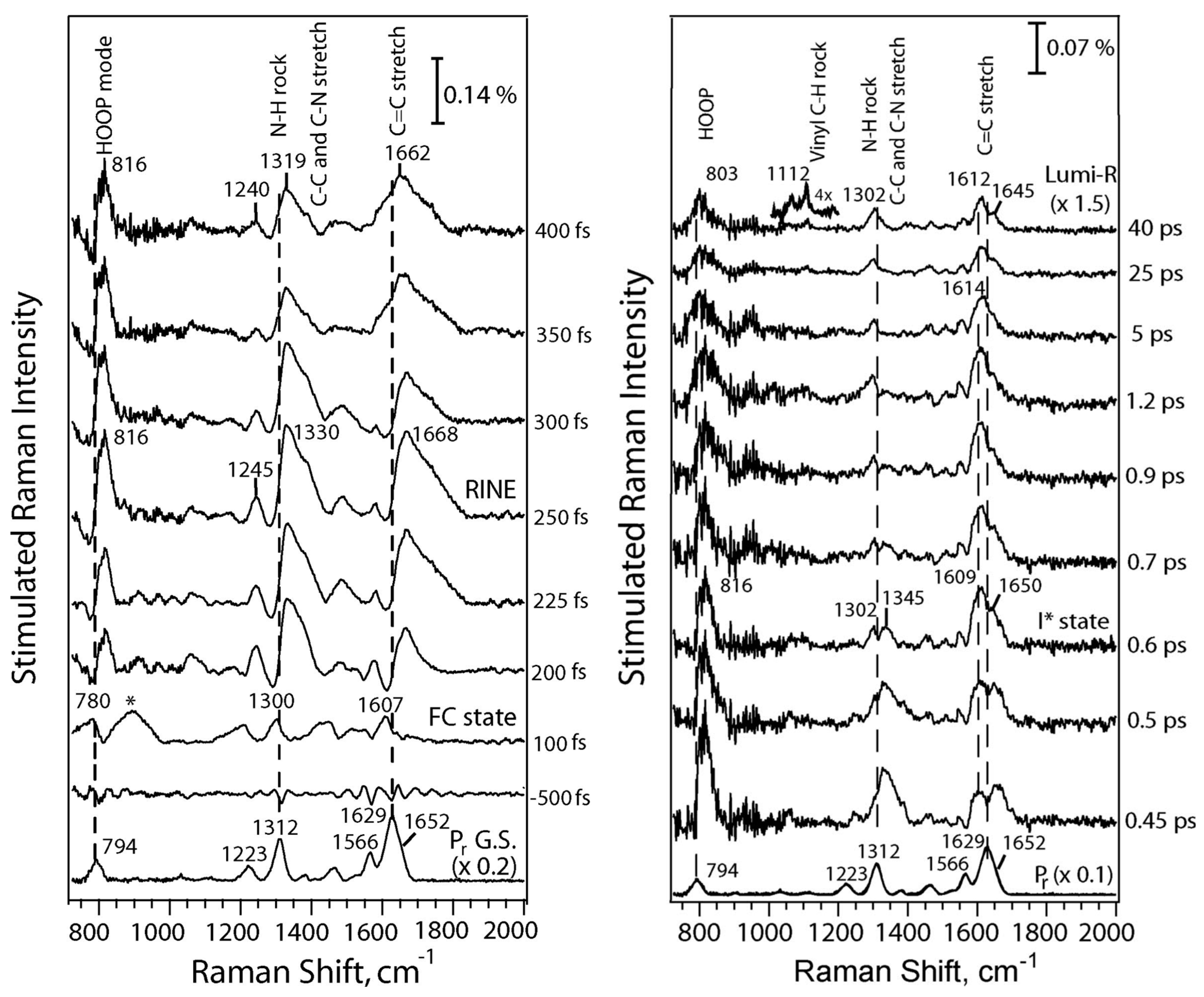 Biomolecules 13 01007 g003