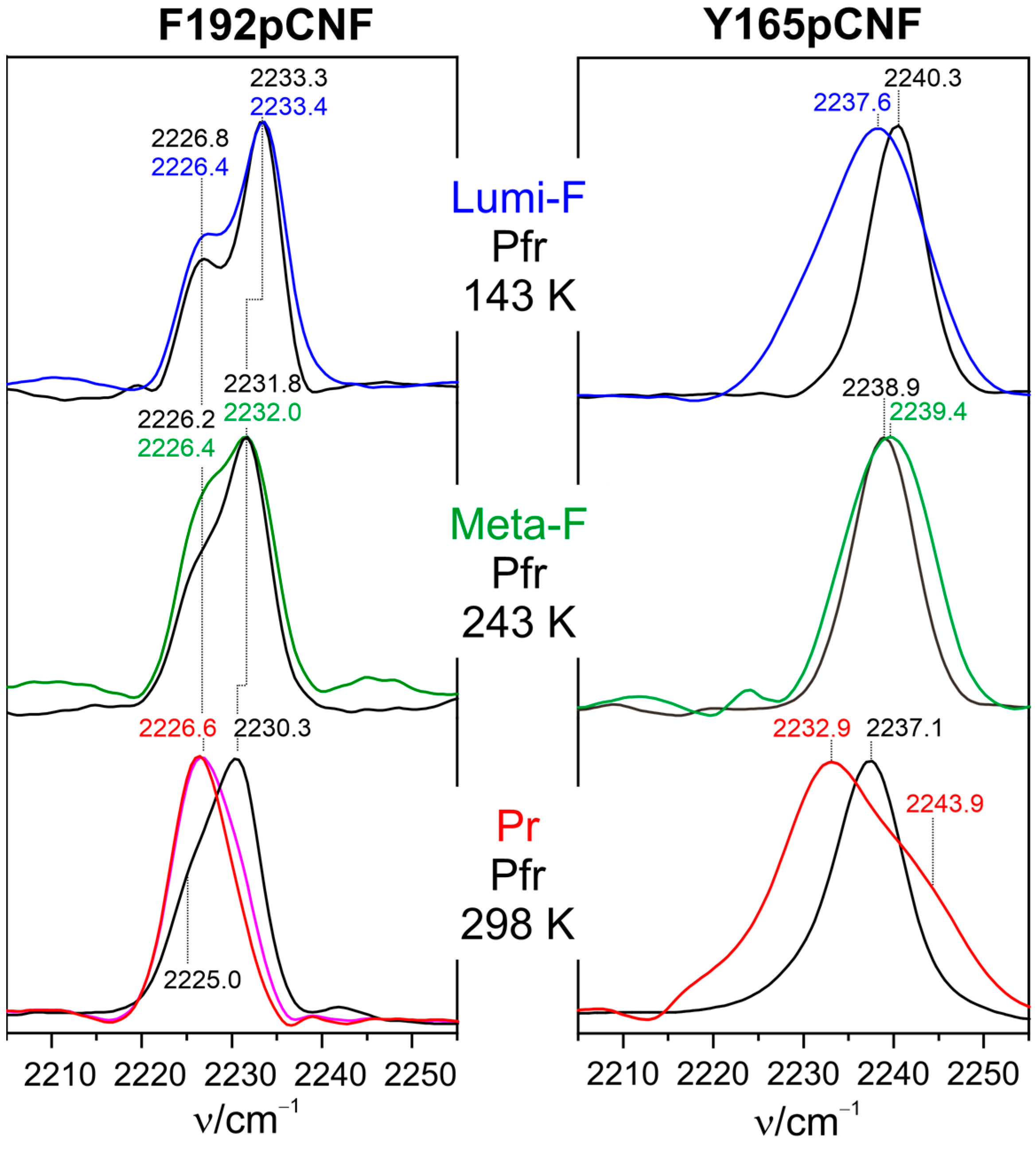 Biomolecules 13 01007 g006