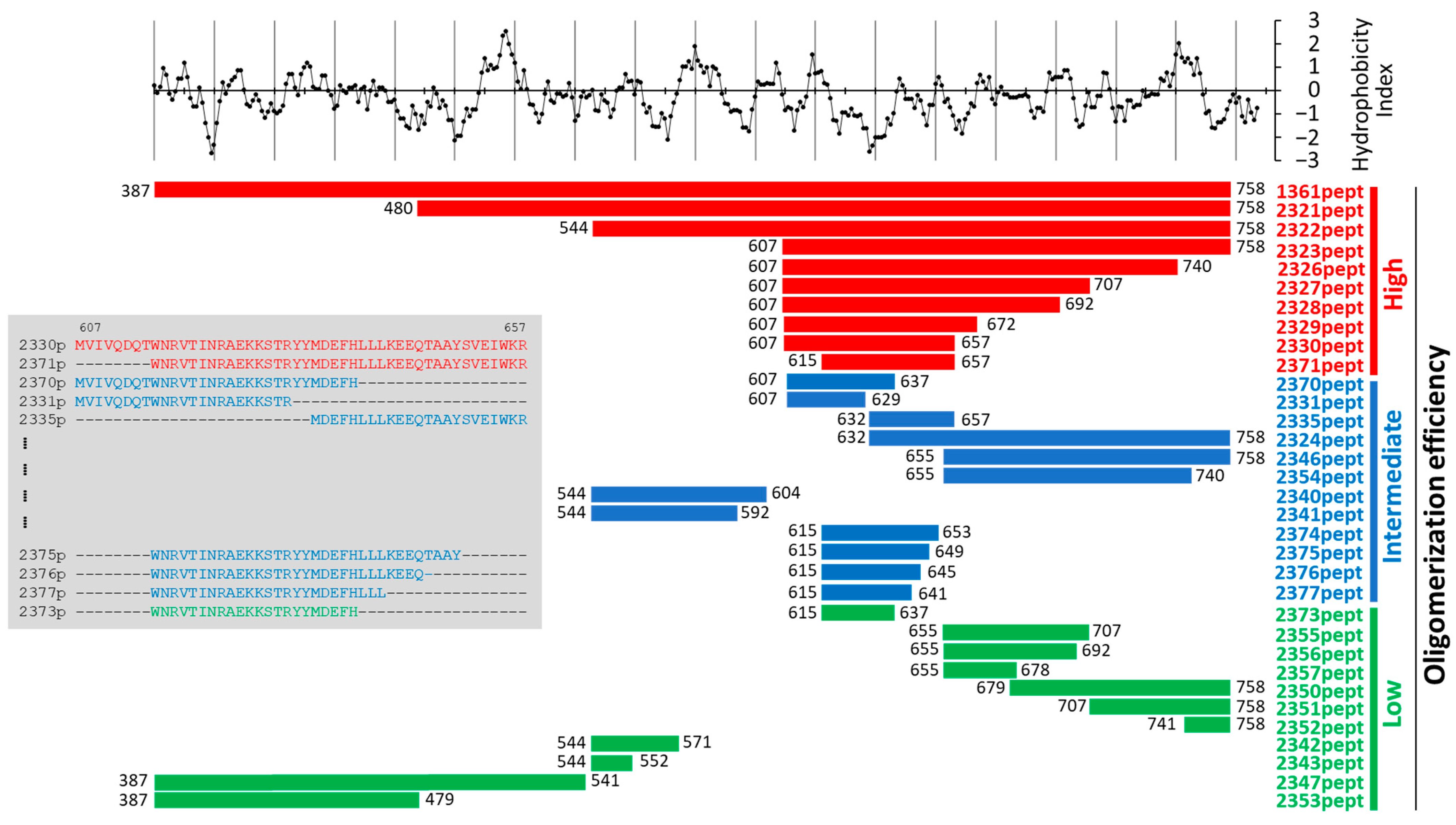 Biomolecules 13 01012 g001