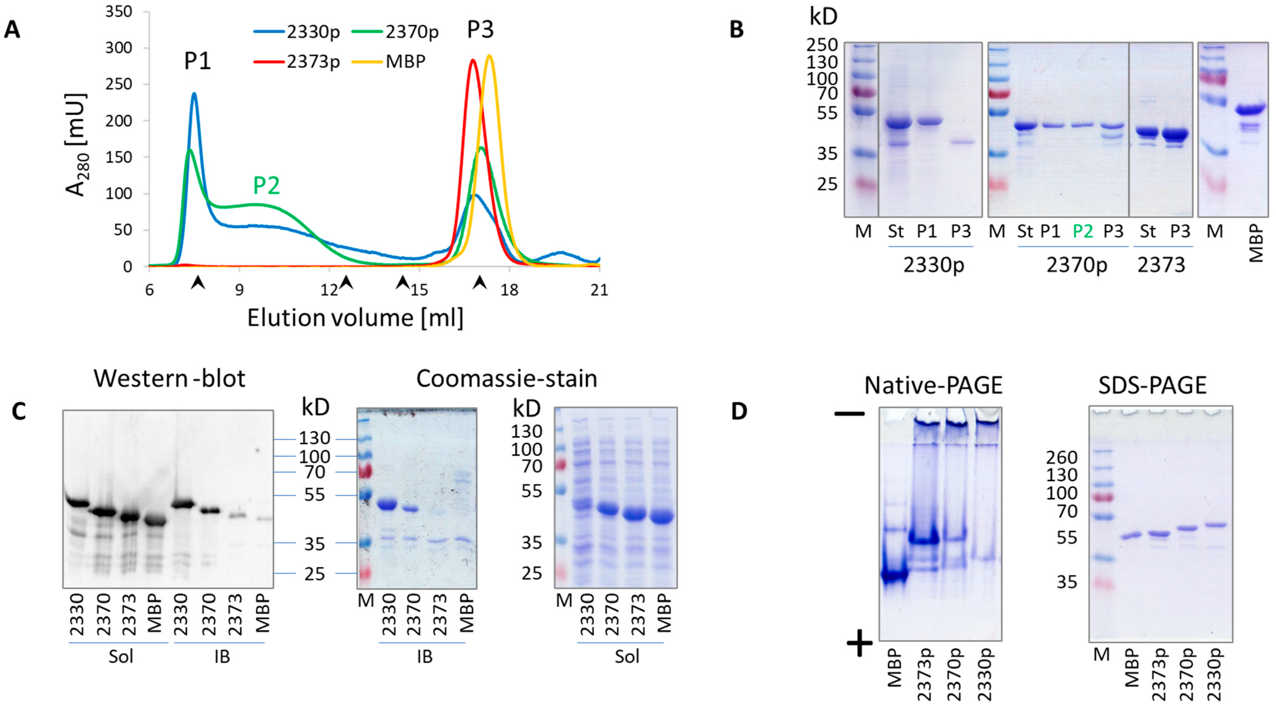 Biomolecules 13 01012 g002