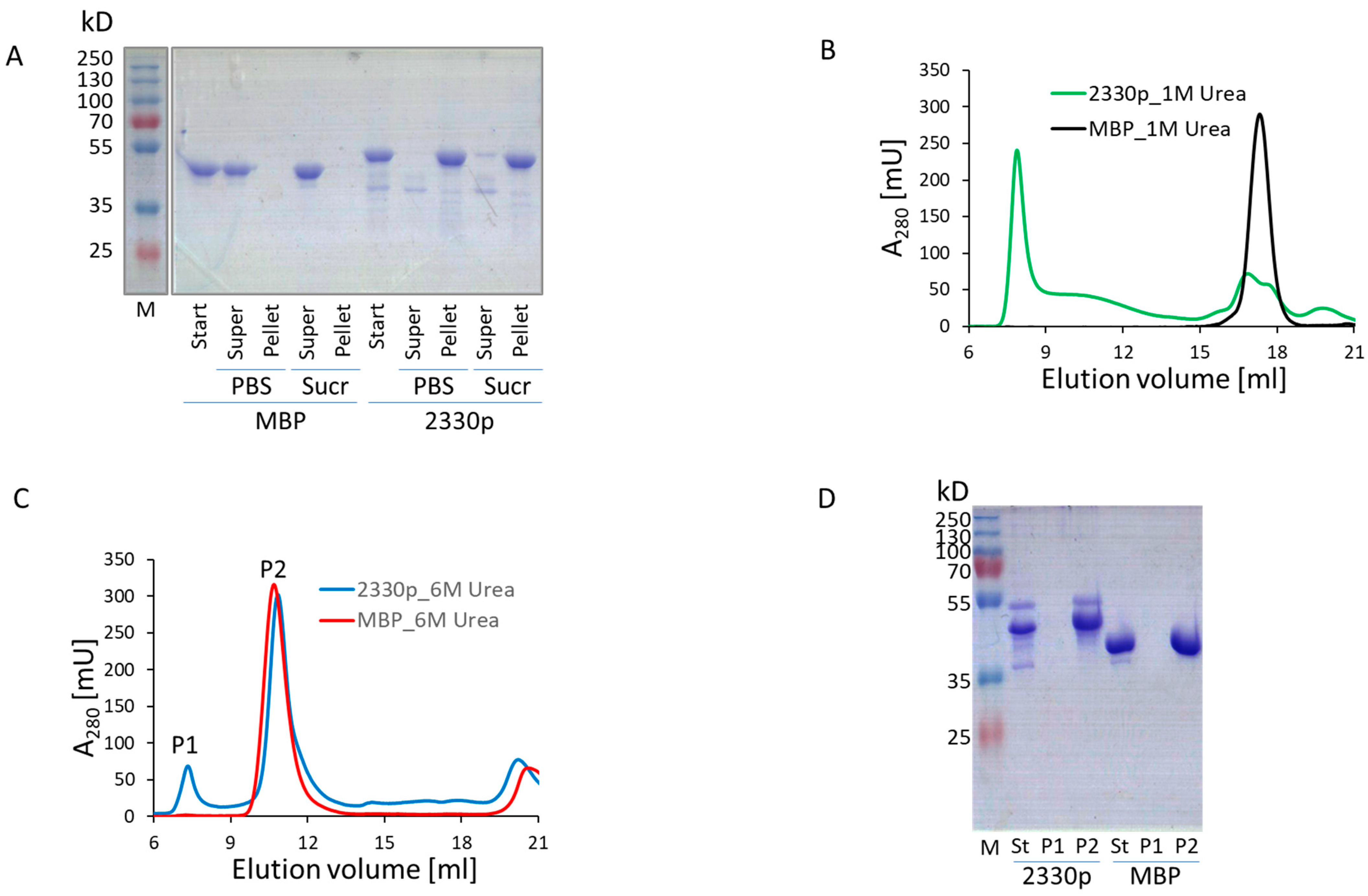 Biomolecules 13 01012 g003