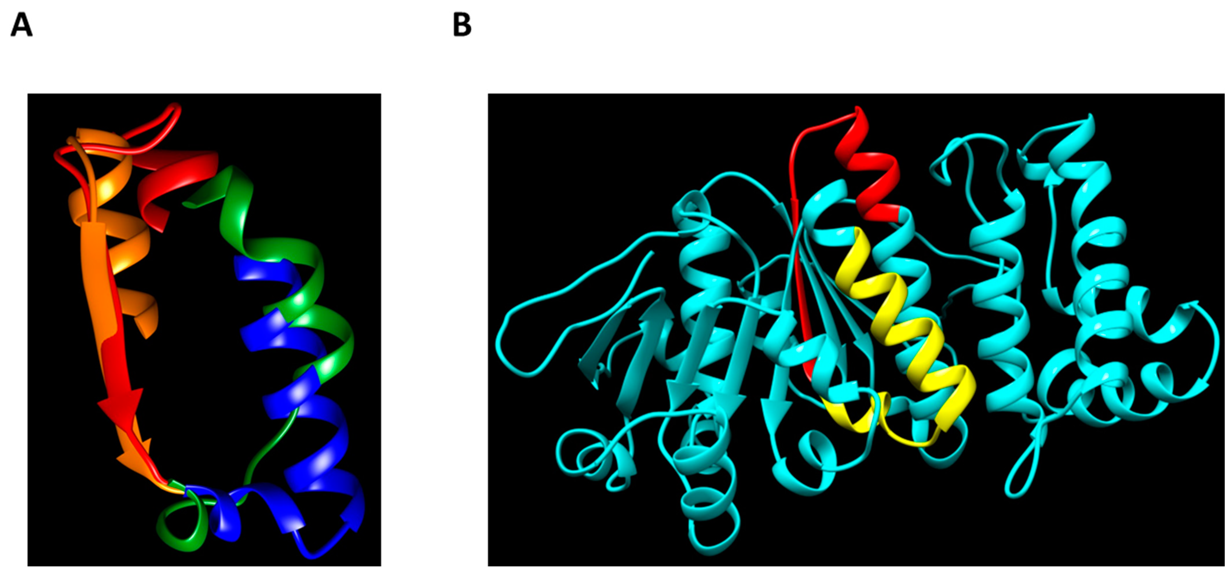 Biomolecules 13 01012 g007