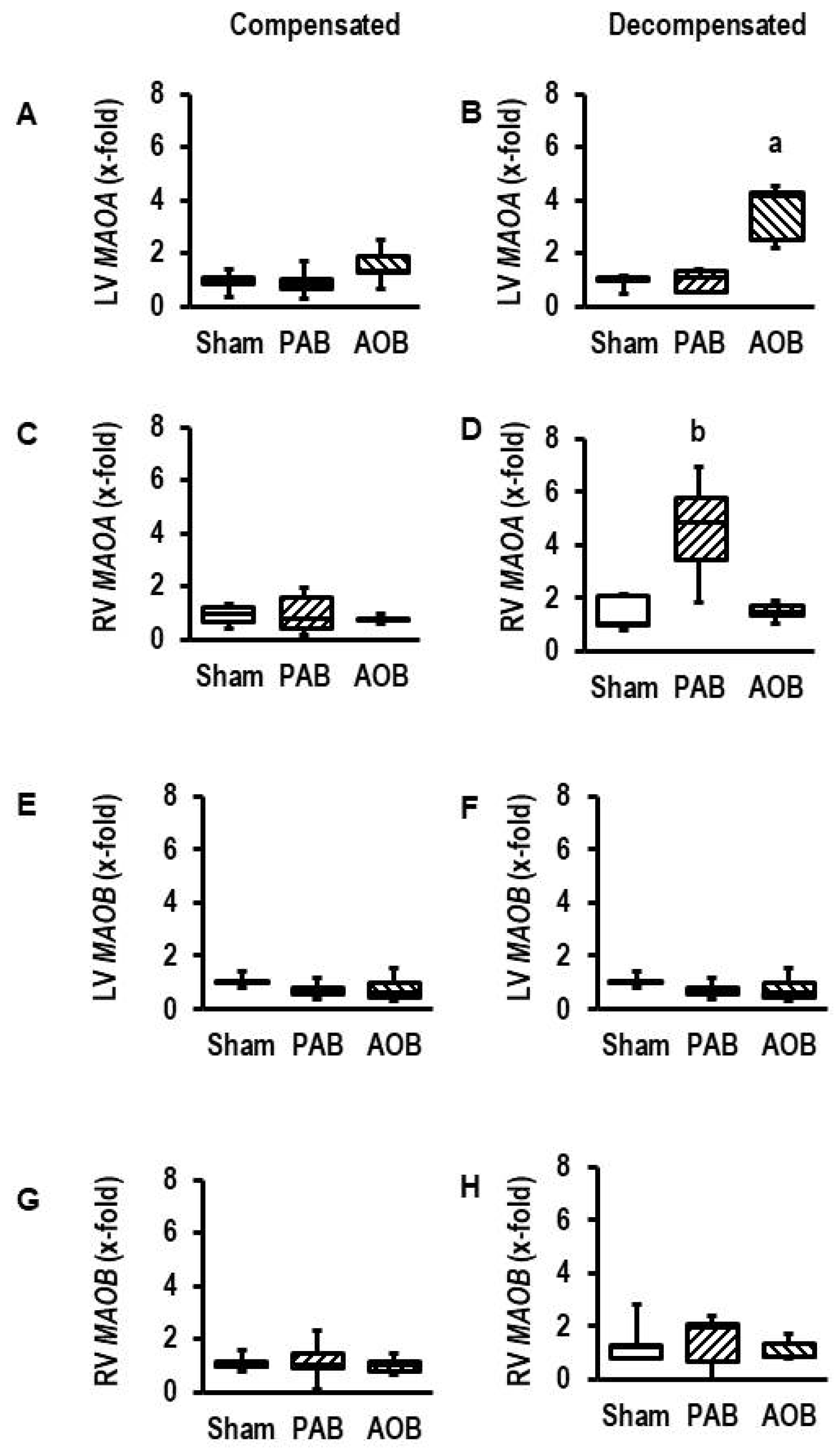 Biomolecules 13 01013 g001