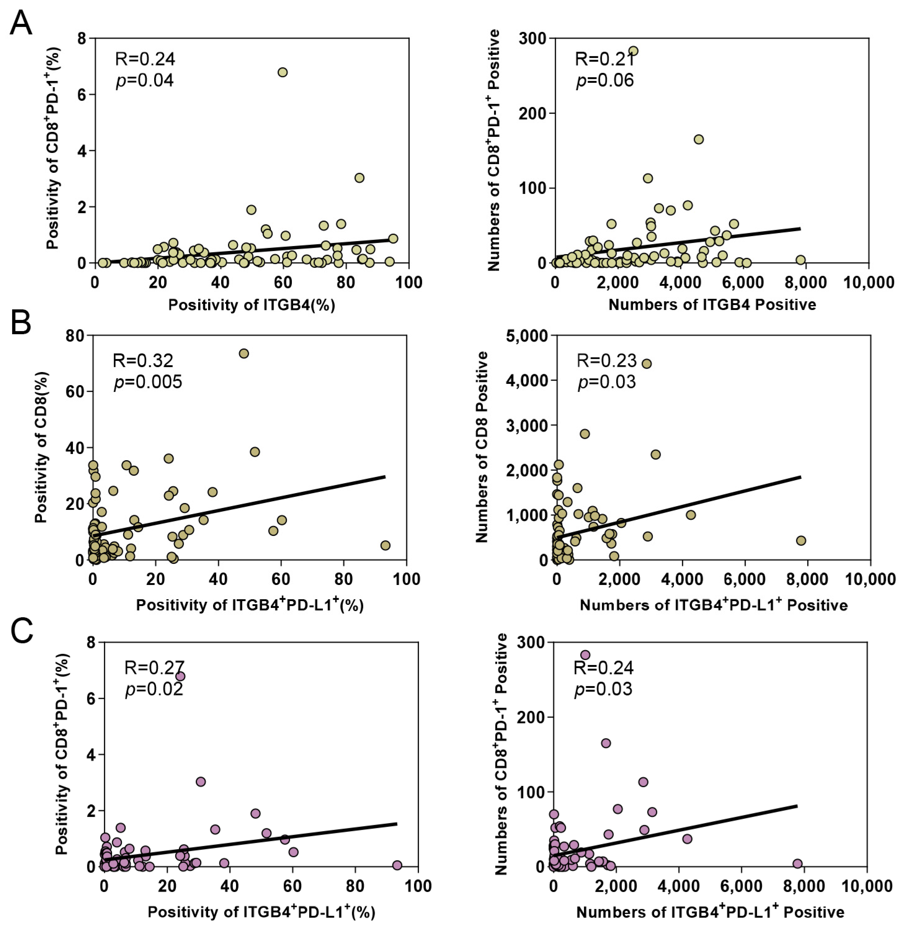 Biomolecules 13 01014 g004