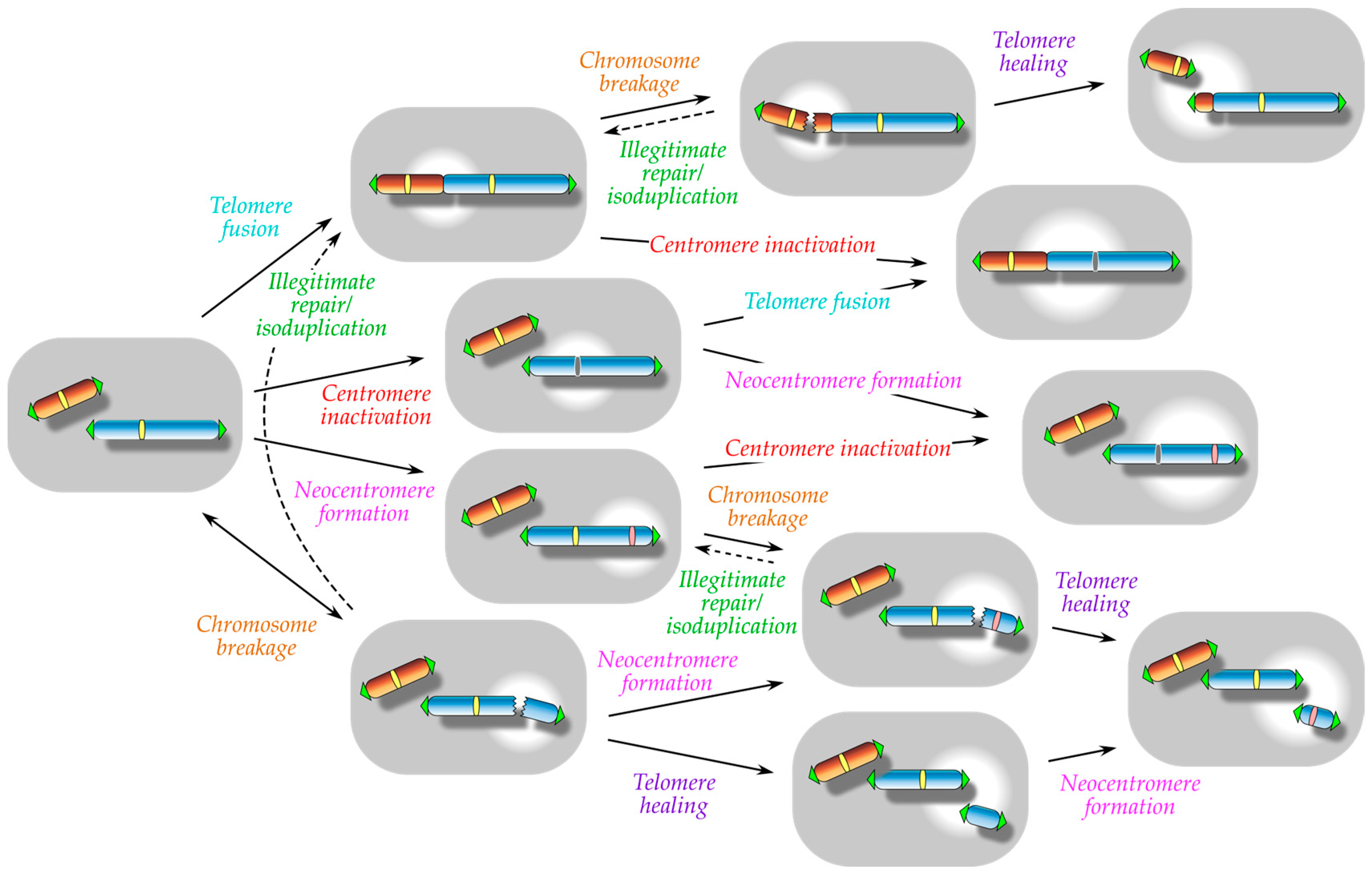 Biomolecules 13 01016 g001 Biomolecules 13 01016 g001