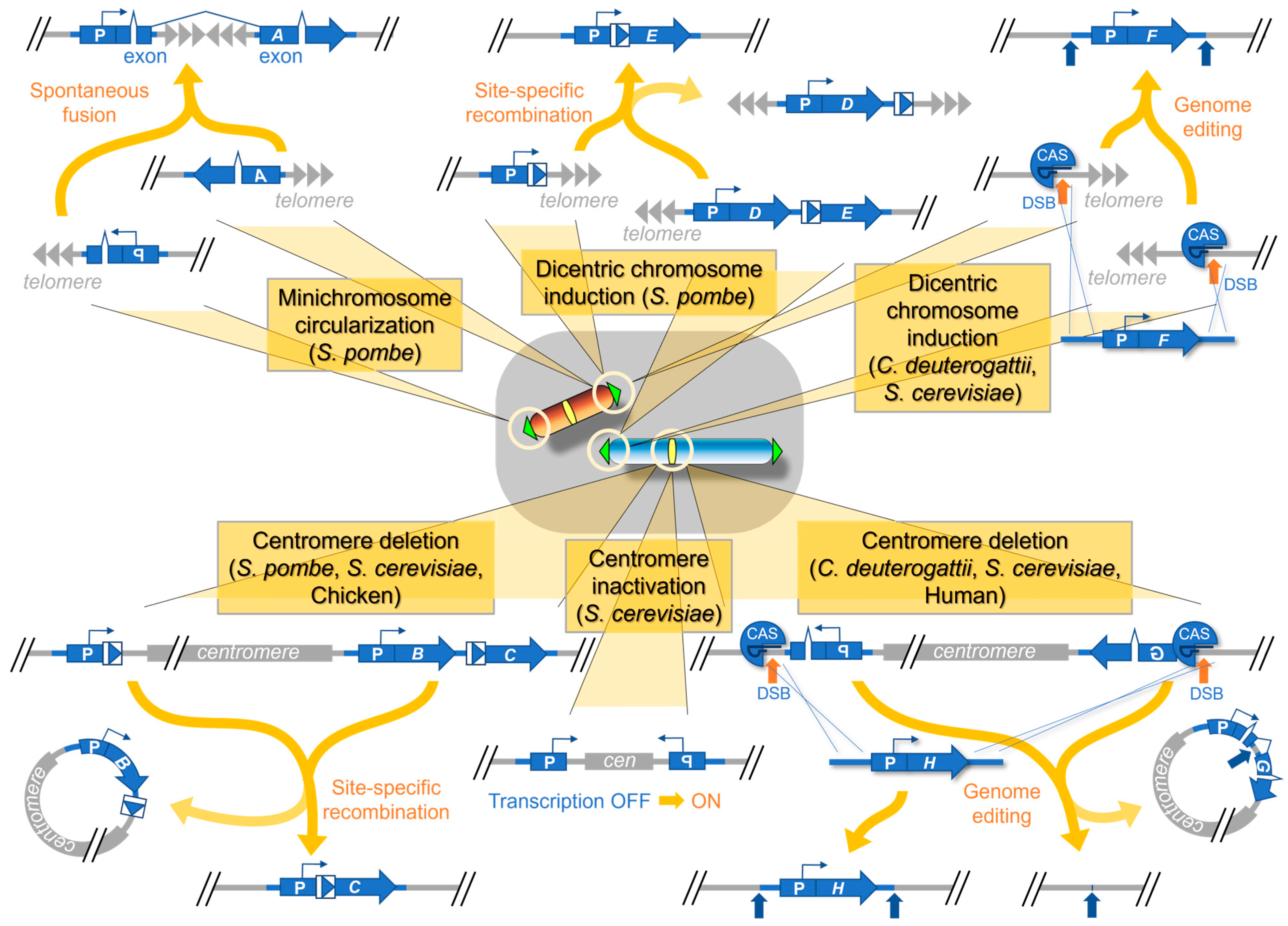 Biomolecules 13 01016 g003 Biomolecules 13 01016 g003