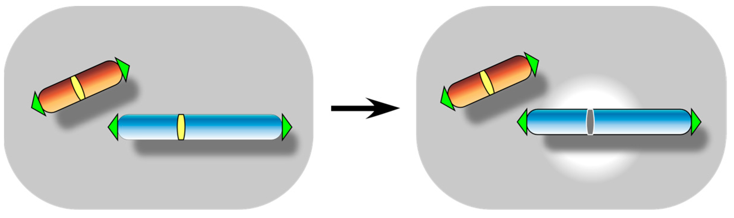 Biomolecules 13 01016 g004 Biomolecules 13 01016 g004