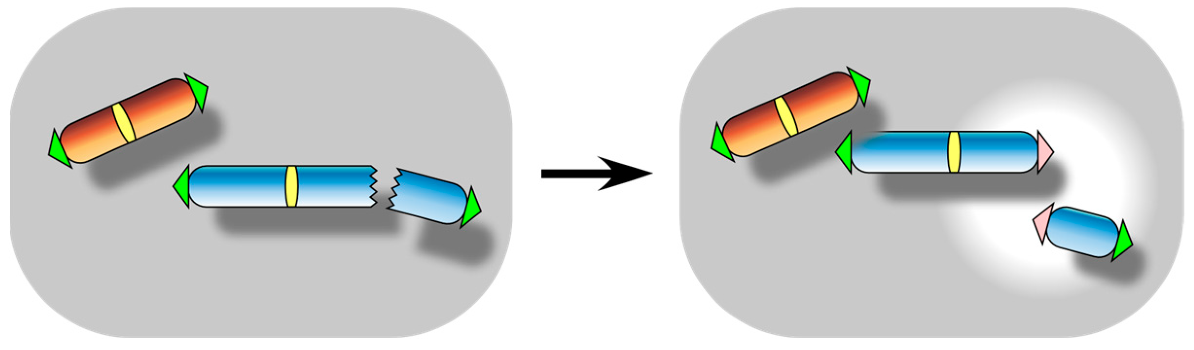 Biomolecules 13 01016 g005 Biomolecules 13 01016 g005
