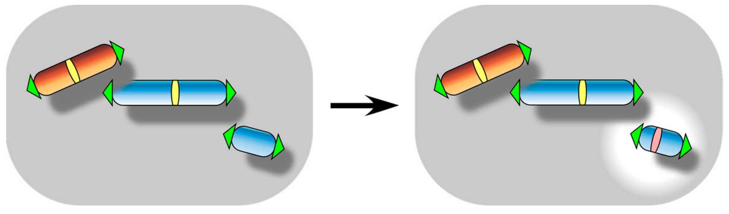 Biomolecules 13 01016 g006 Biomolecules 13 01016 g006