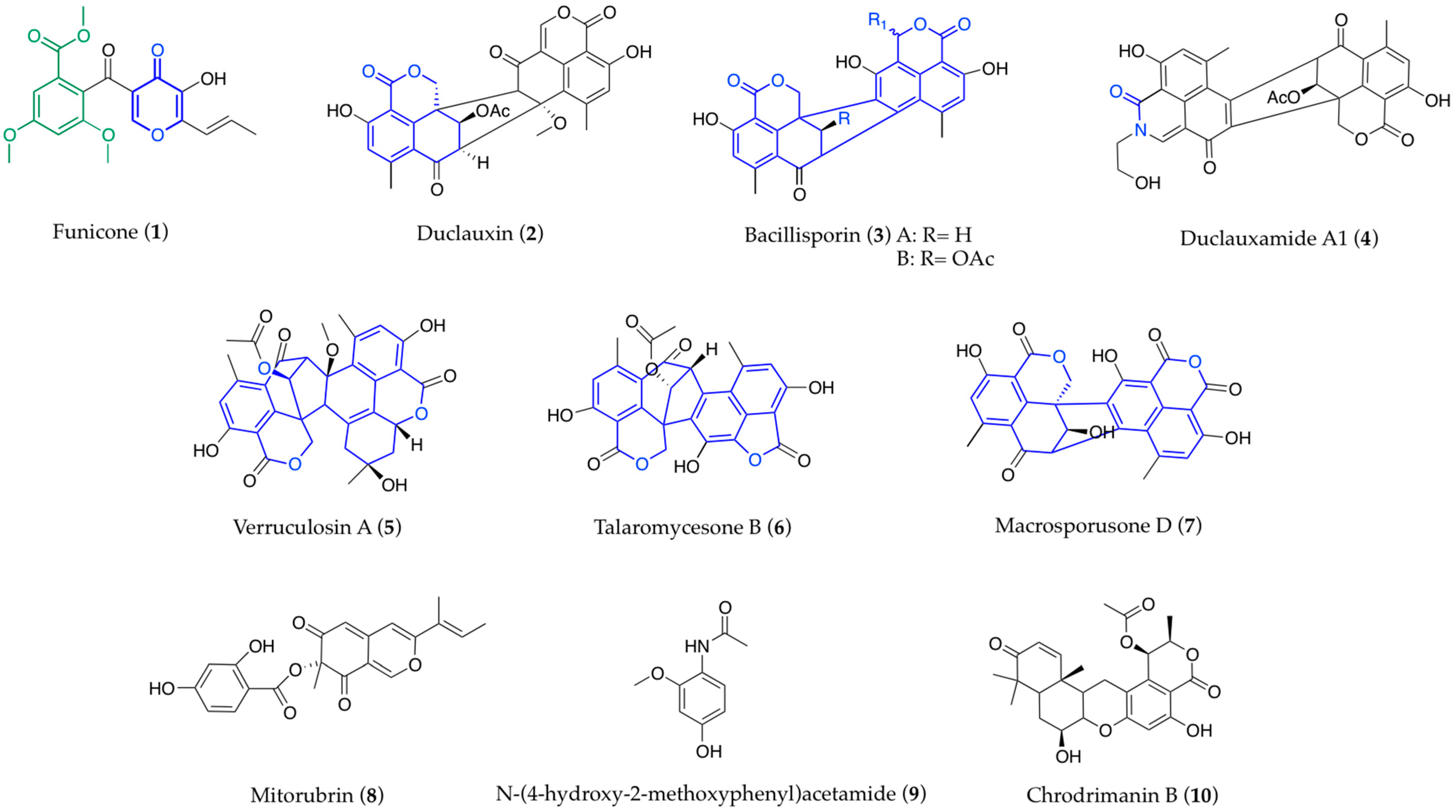 Biomolecules 13 01021 g001