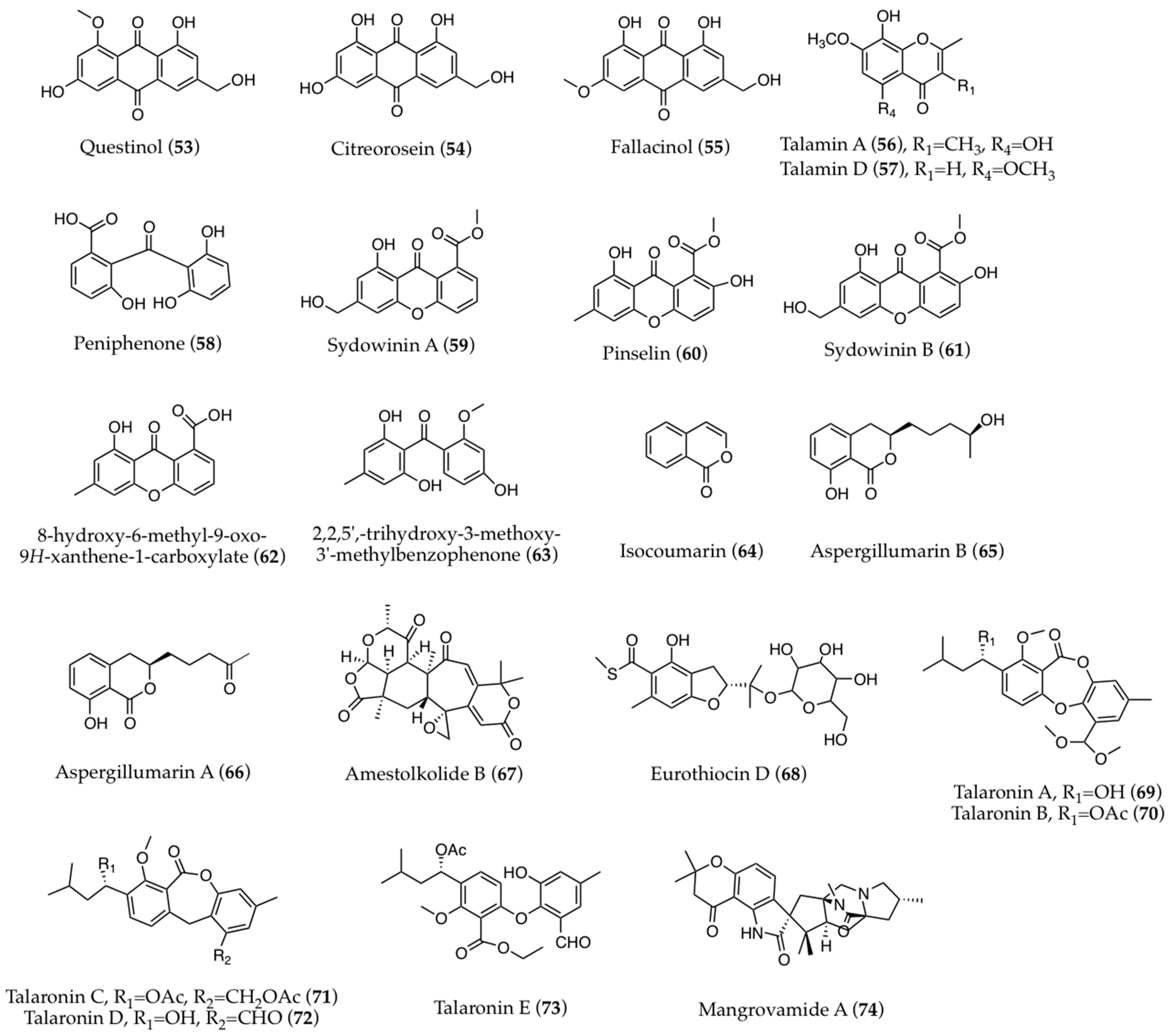 Biomolecules 13 01021 g004
