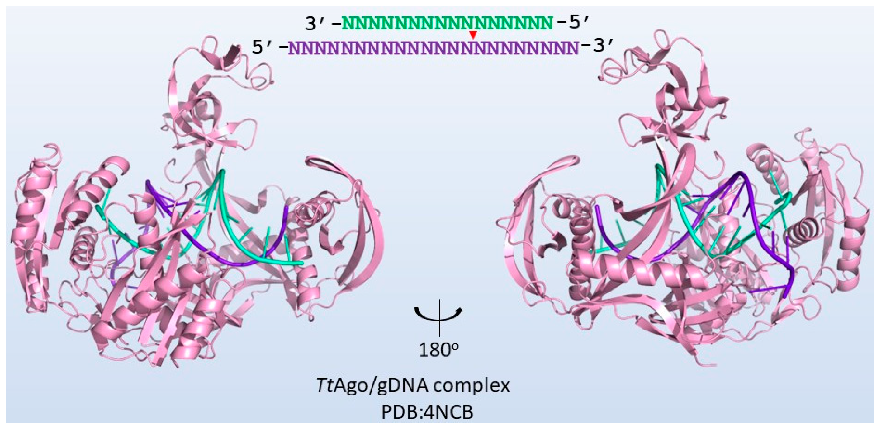 Biomolecules 13 01022 g004 Biomolecules 13 01022 g004