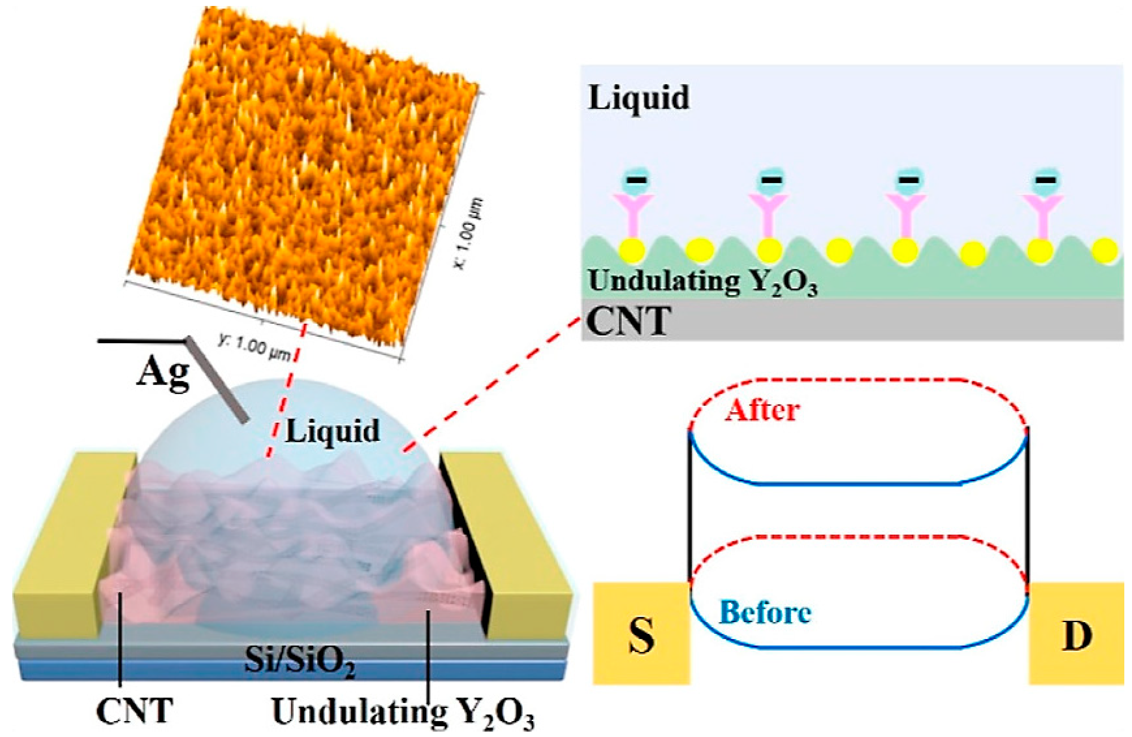 Biomolecules 13 01024 g005