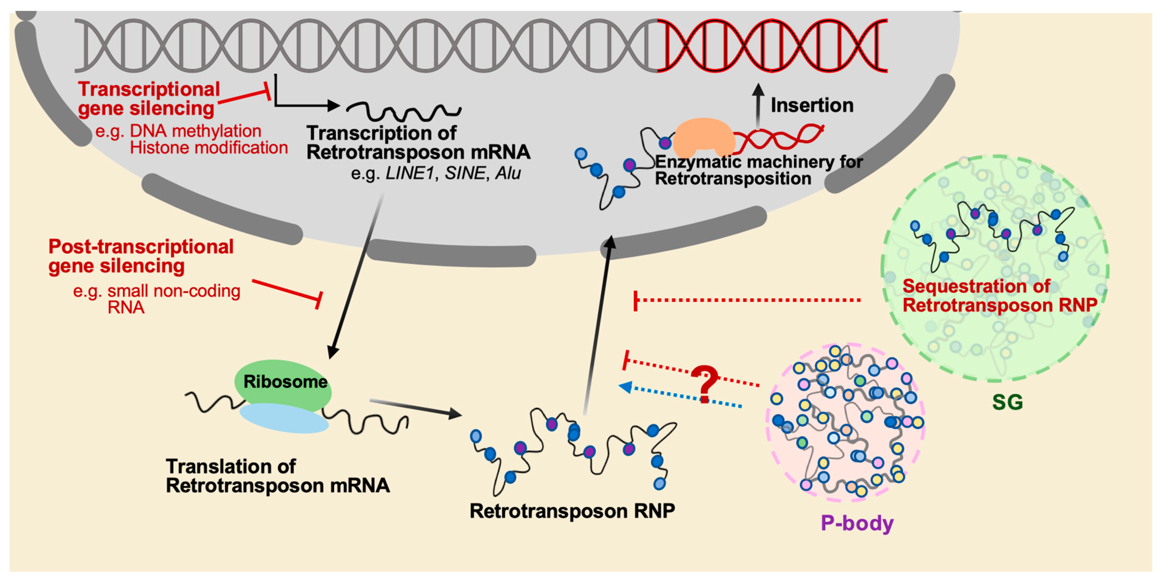 Biomolecules 13 01027 g002 Biomolecules 13 01027 g002