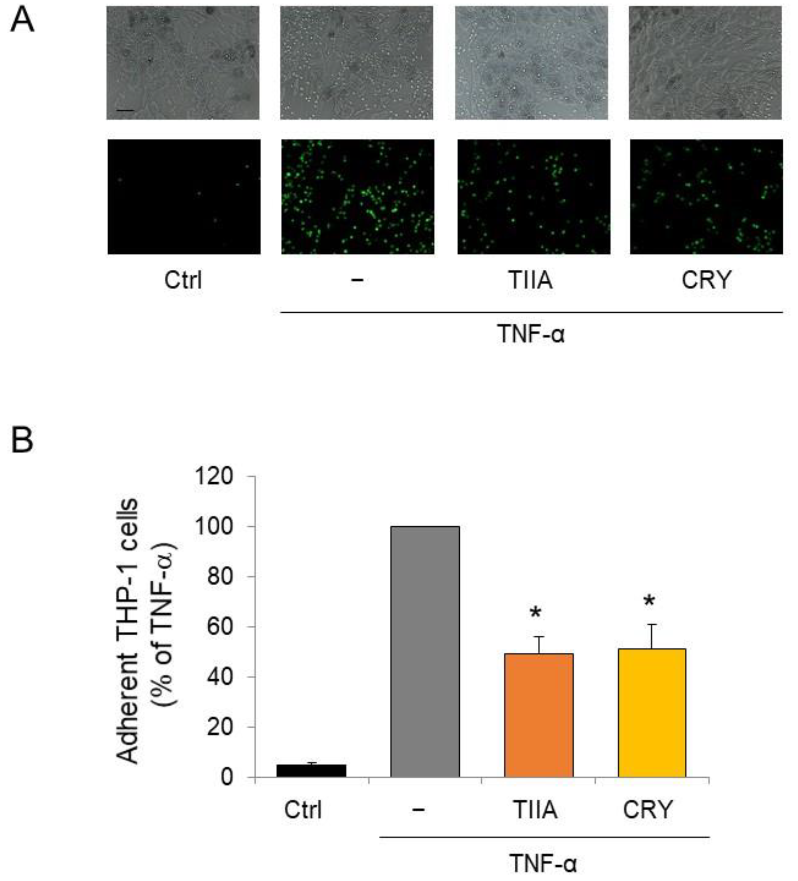 Biomolecules 13 01029 g004