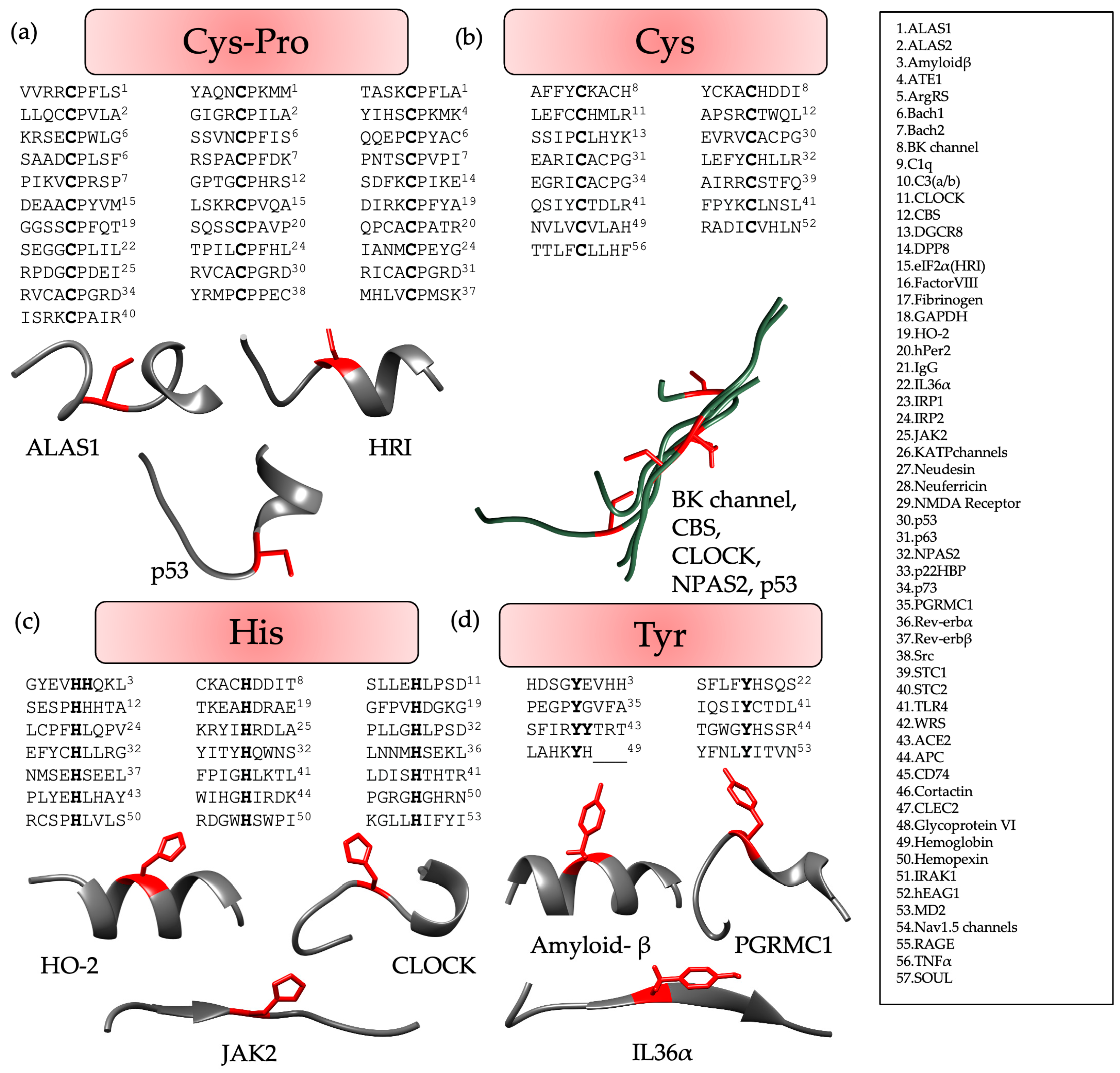 Biomolecules 13 01031 g003