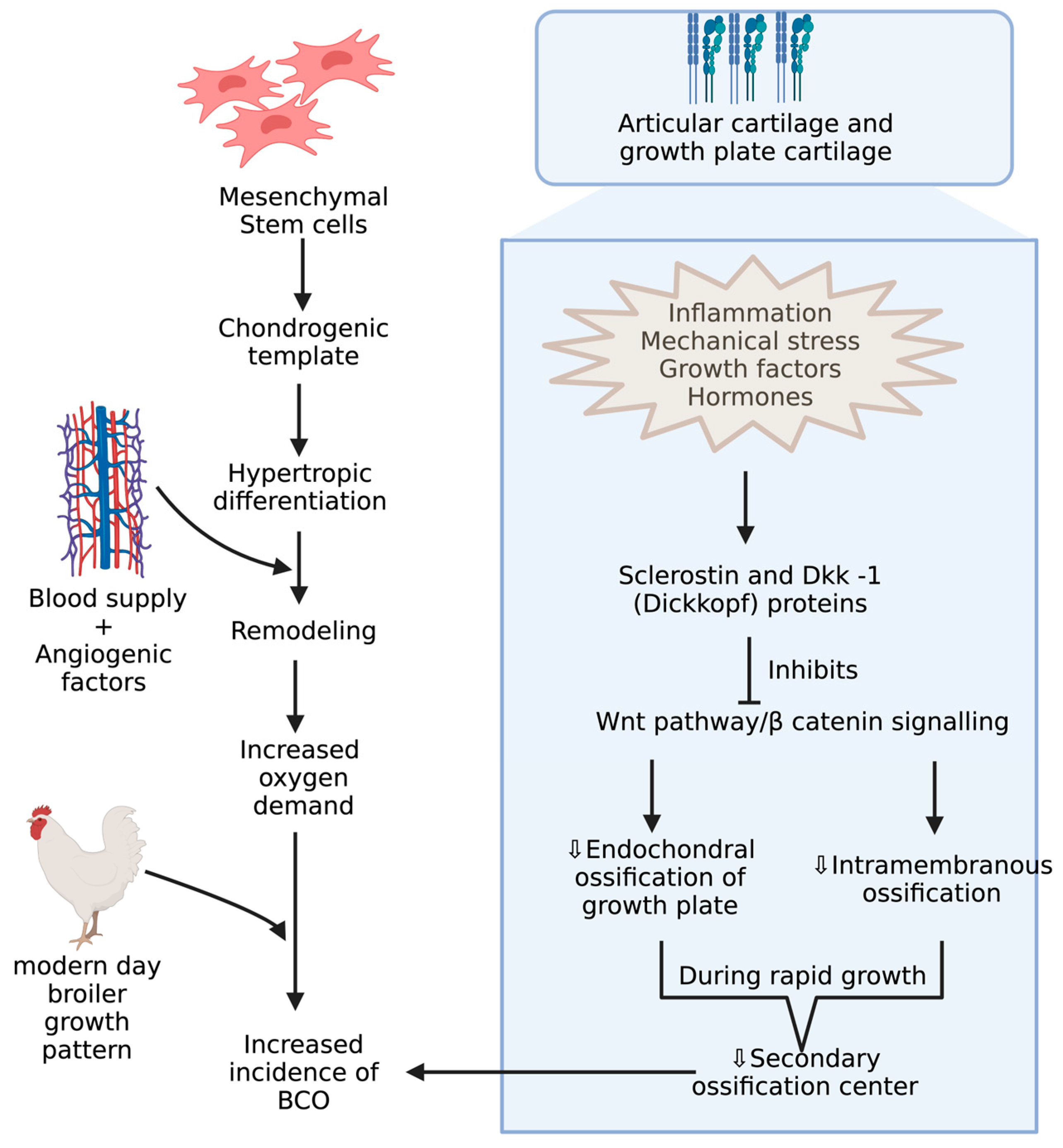 Biomolecules 13 01032 g003