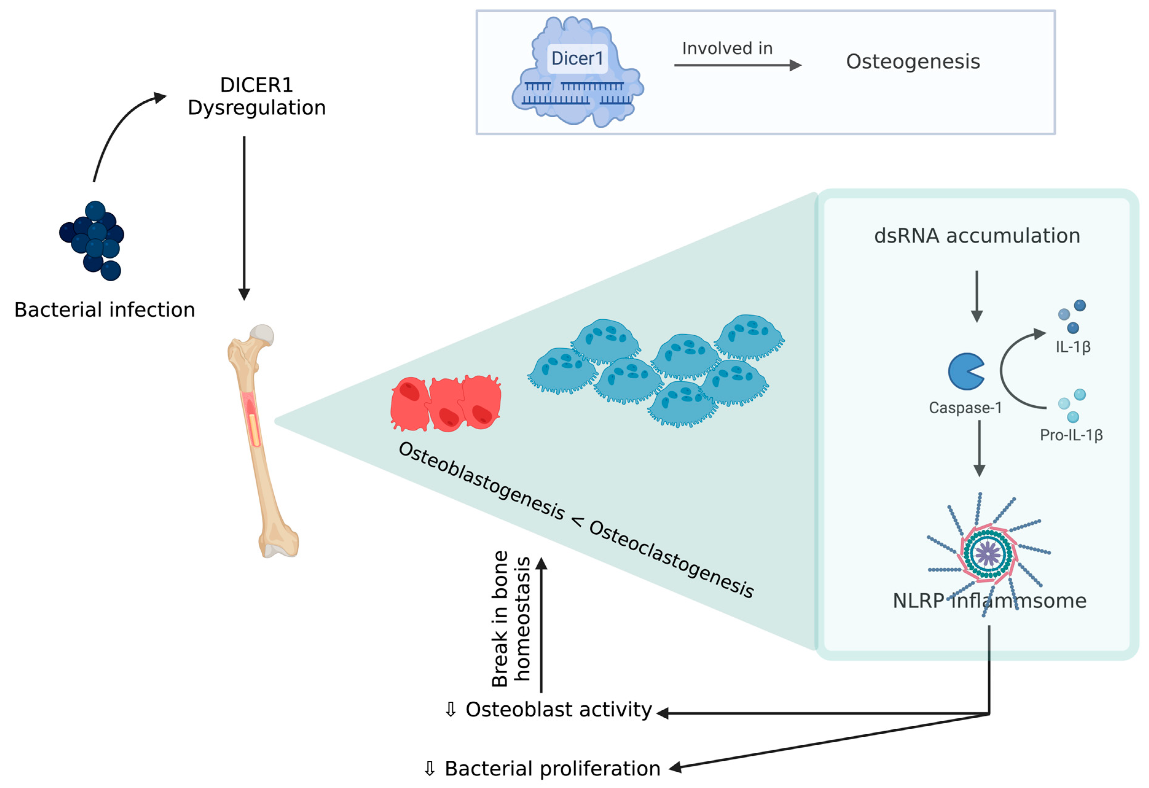 Biomolecules 13 01032 g004