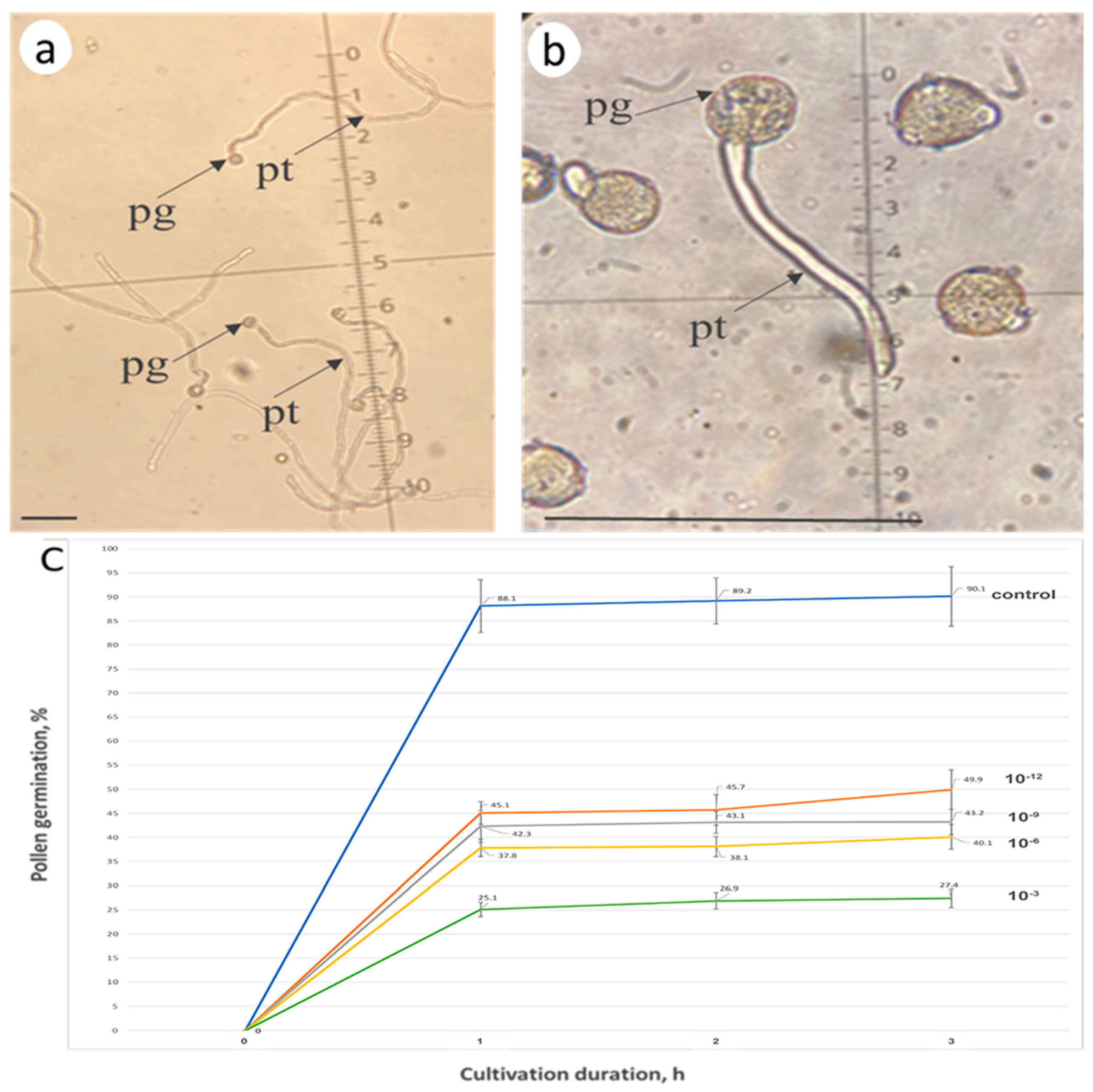 Biomolecules 13 01033 g006 Biomolecules 13 01033 g006