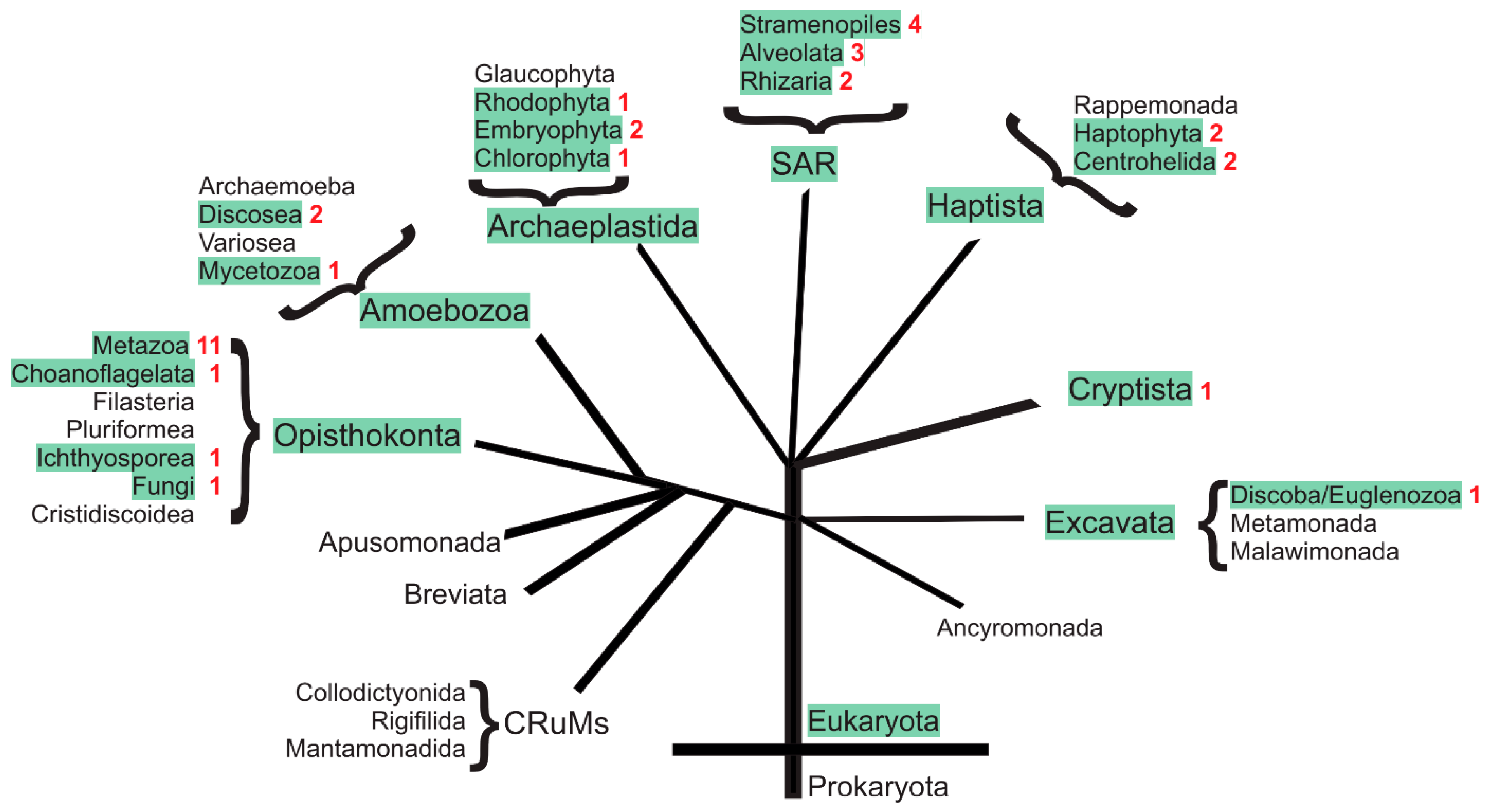 Biomolecules 13 01035 g003 Biomolecules 13 01035 g003