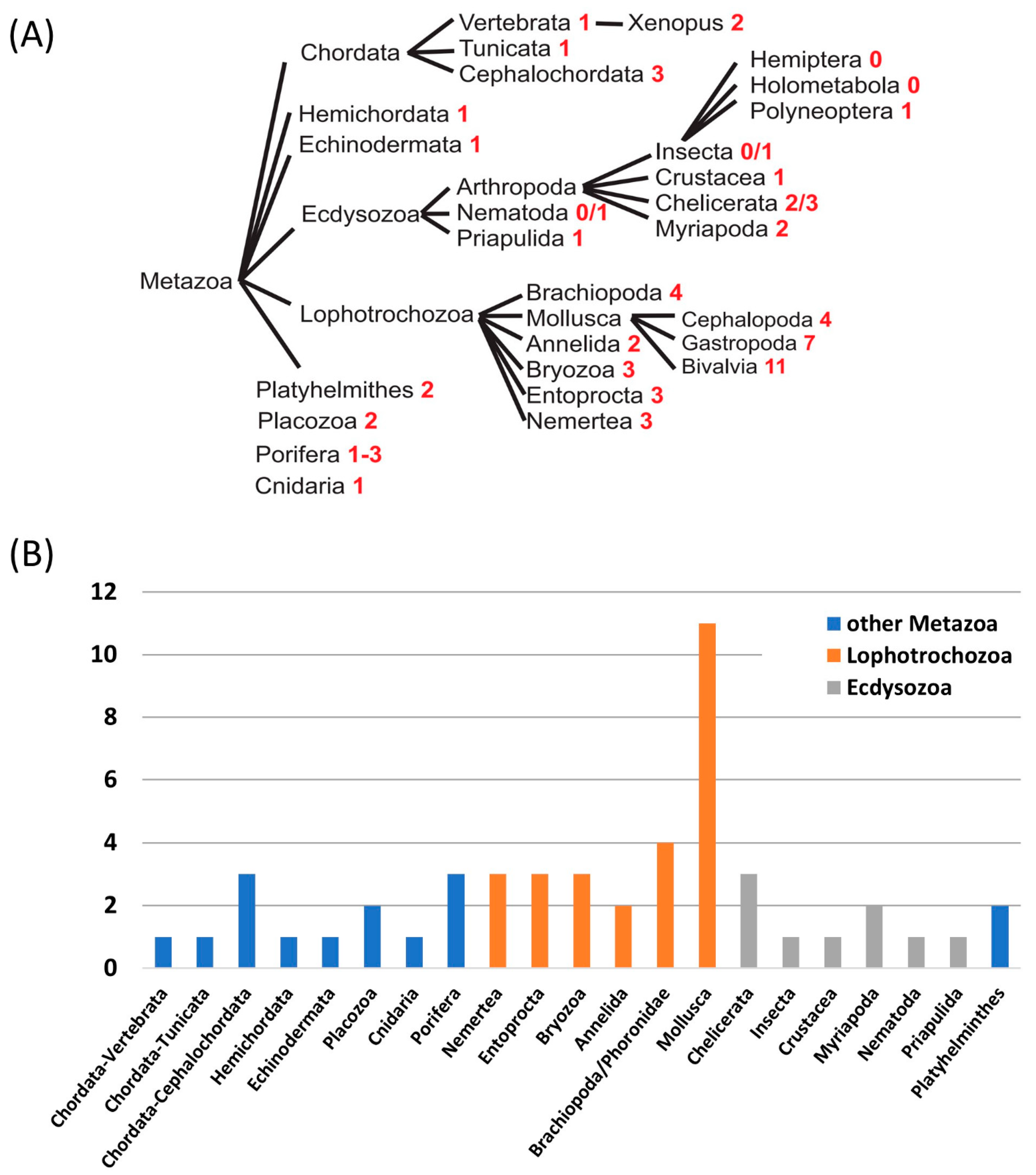 Biomolecules 13 01035 g004 Biomolecules 13 01035 g004
