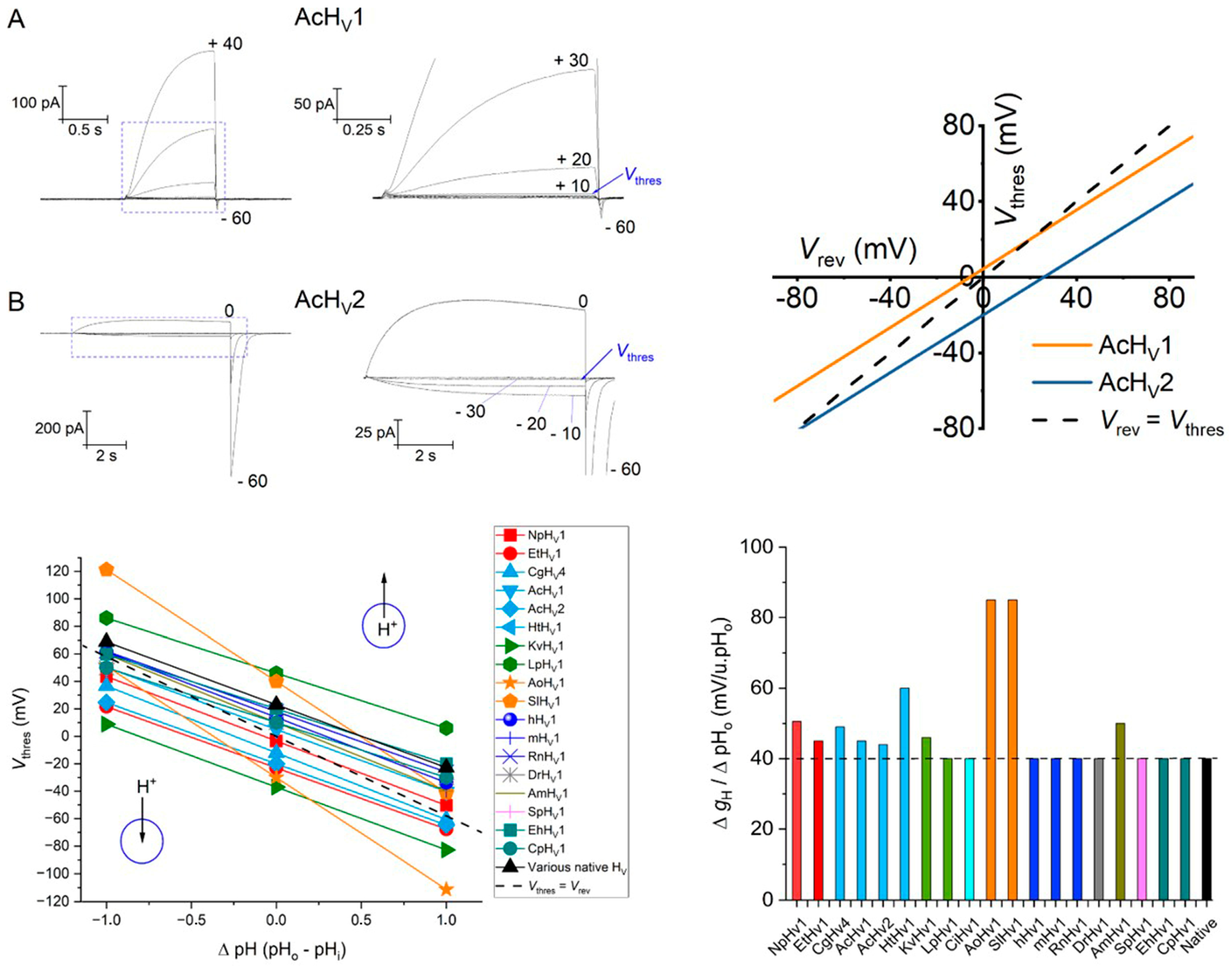 Biomolecules 13 01035 g007 Biomolecules 13 01035 g007