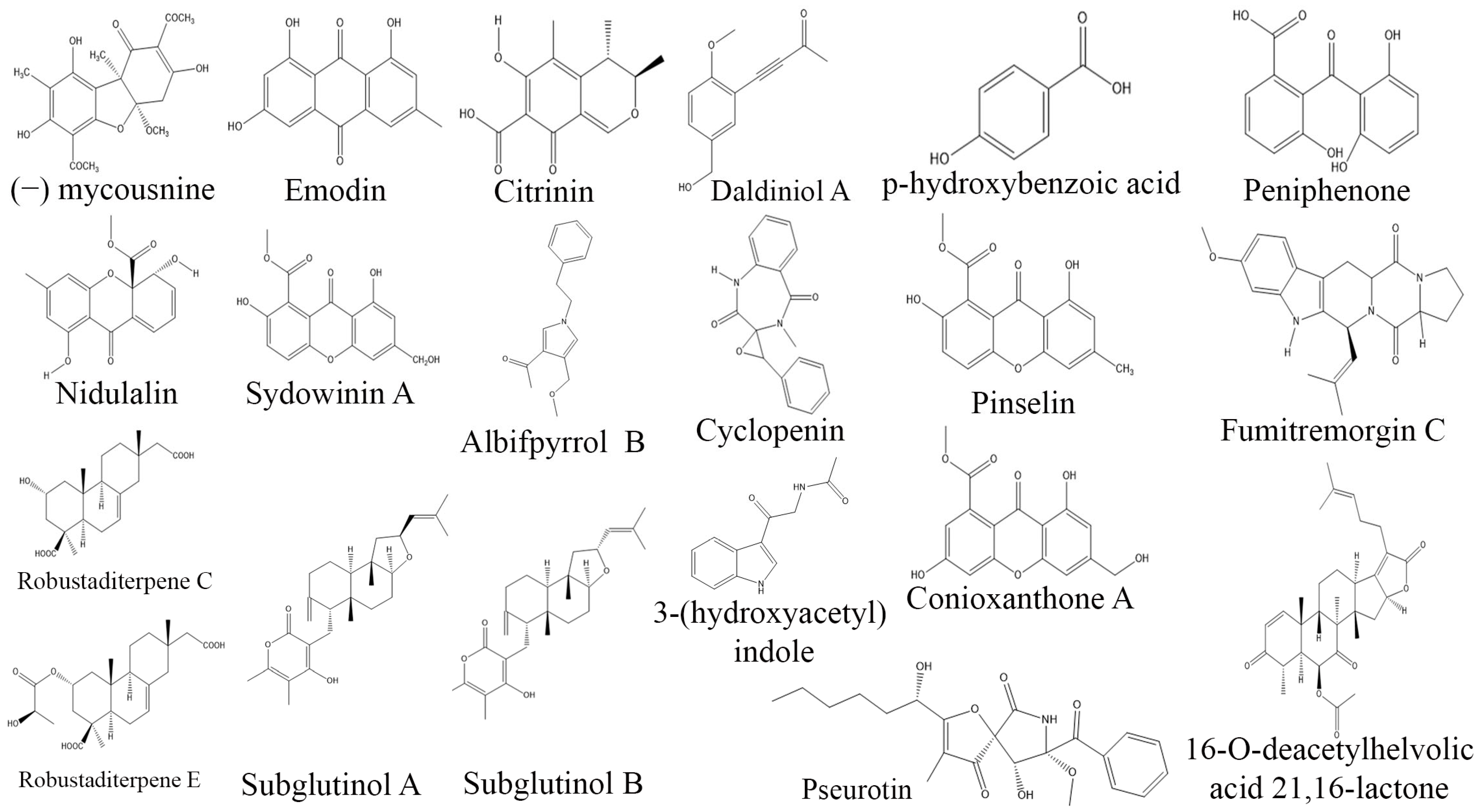 Biomolecules Free FullText Fungal Endophytes Microfactories of