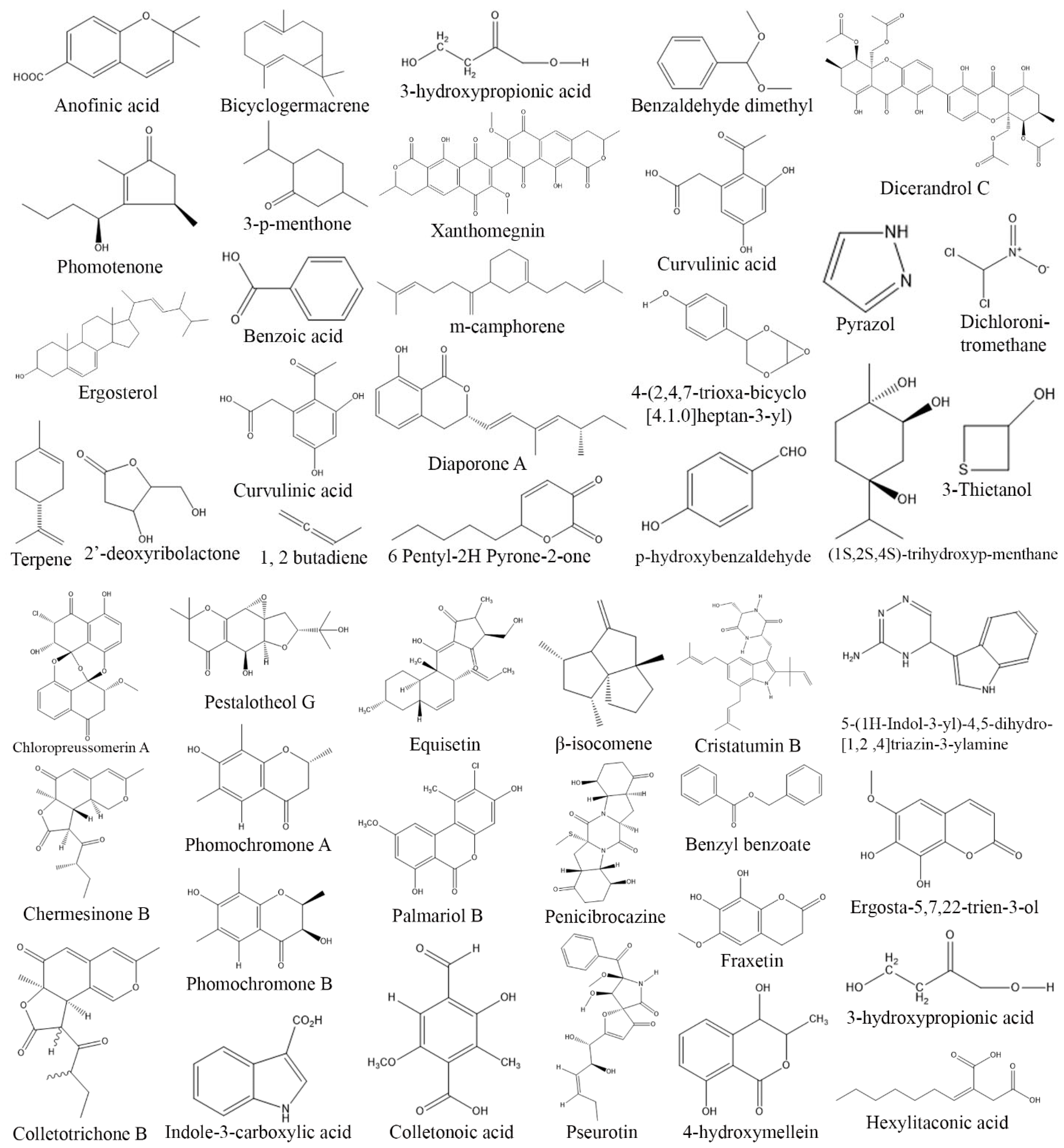 Biomolecules 13 01038 g008 Biomolecules 13 01038 g008