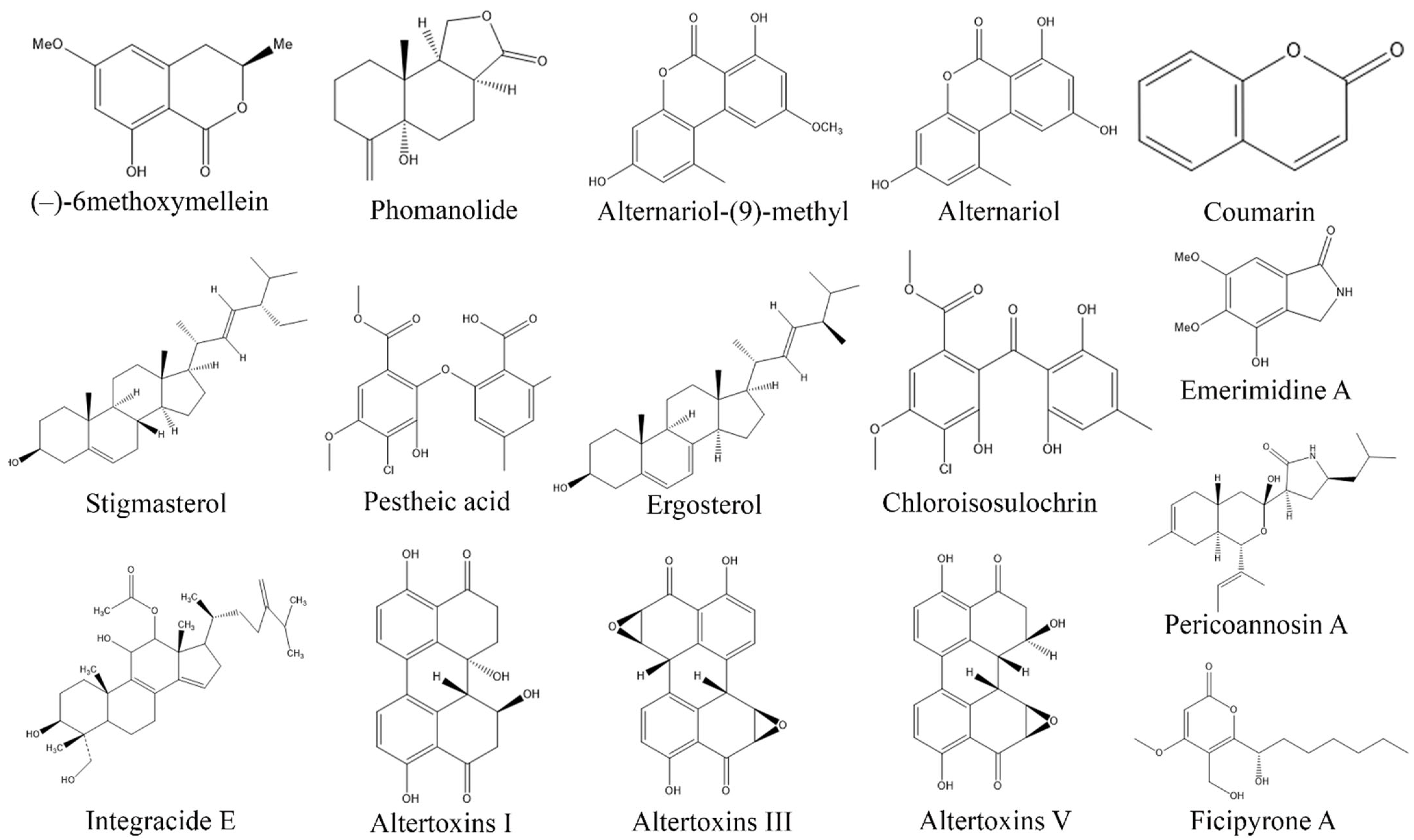 Biomolecules Free FullText Fungal Endophytes Microfactories of