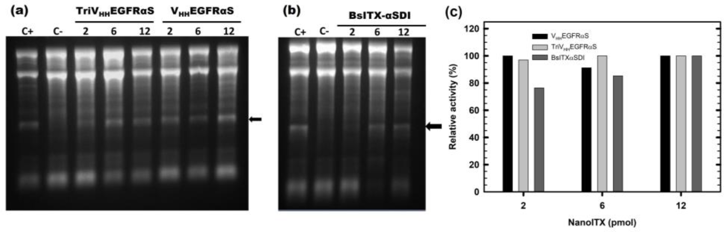 Biomolecules 13 01042 g004