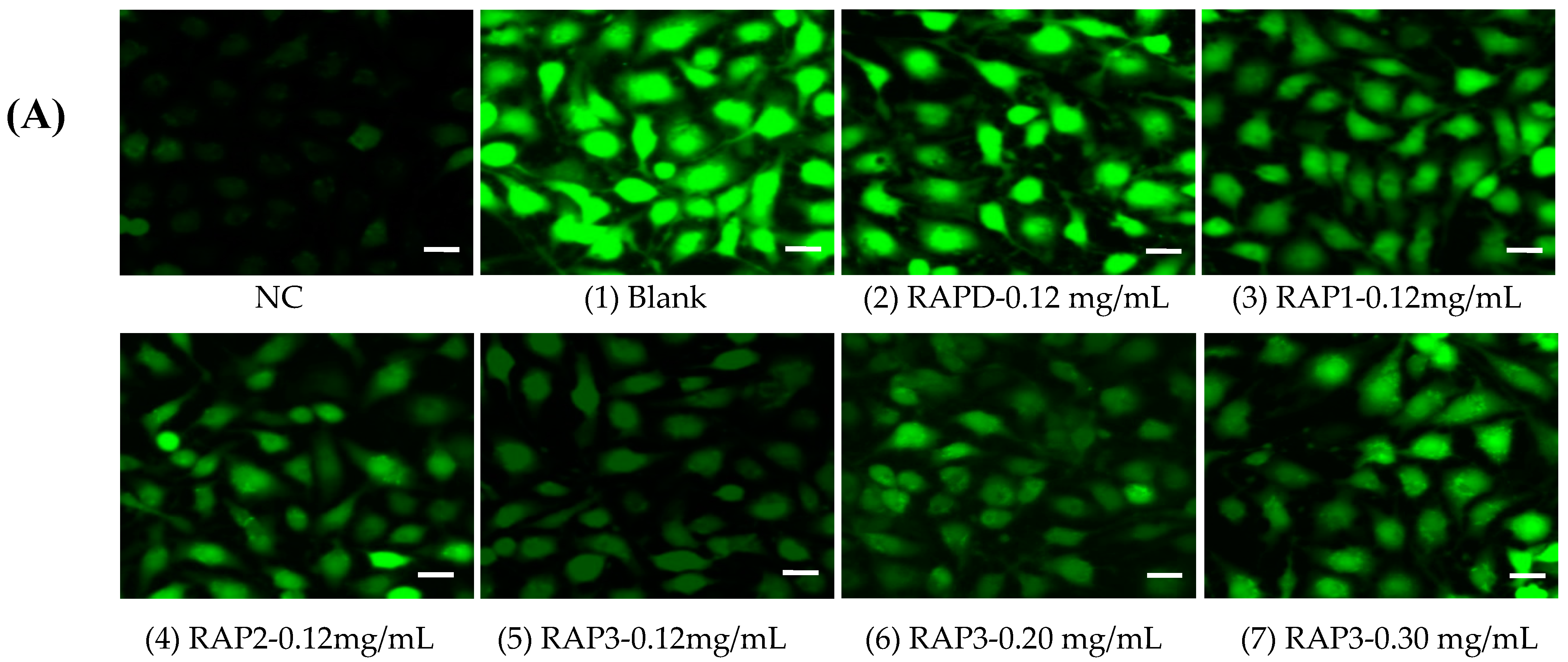 Biomolecules 13 01044 g012a Biomolecules 13 01044 g012a