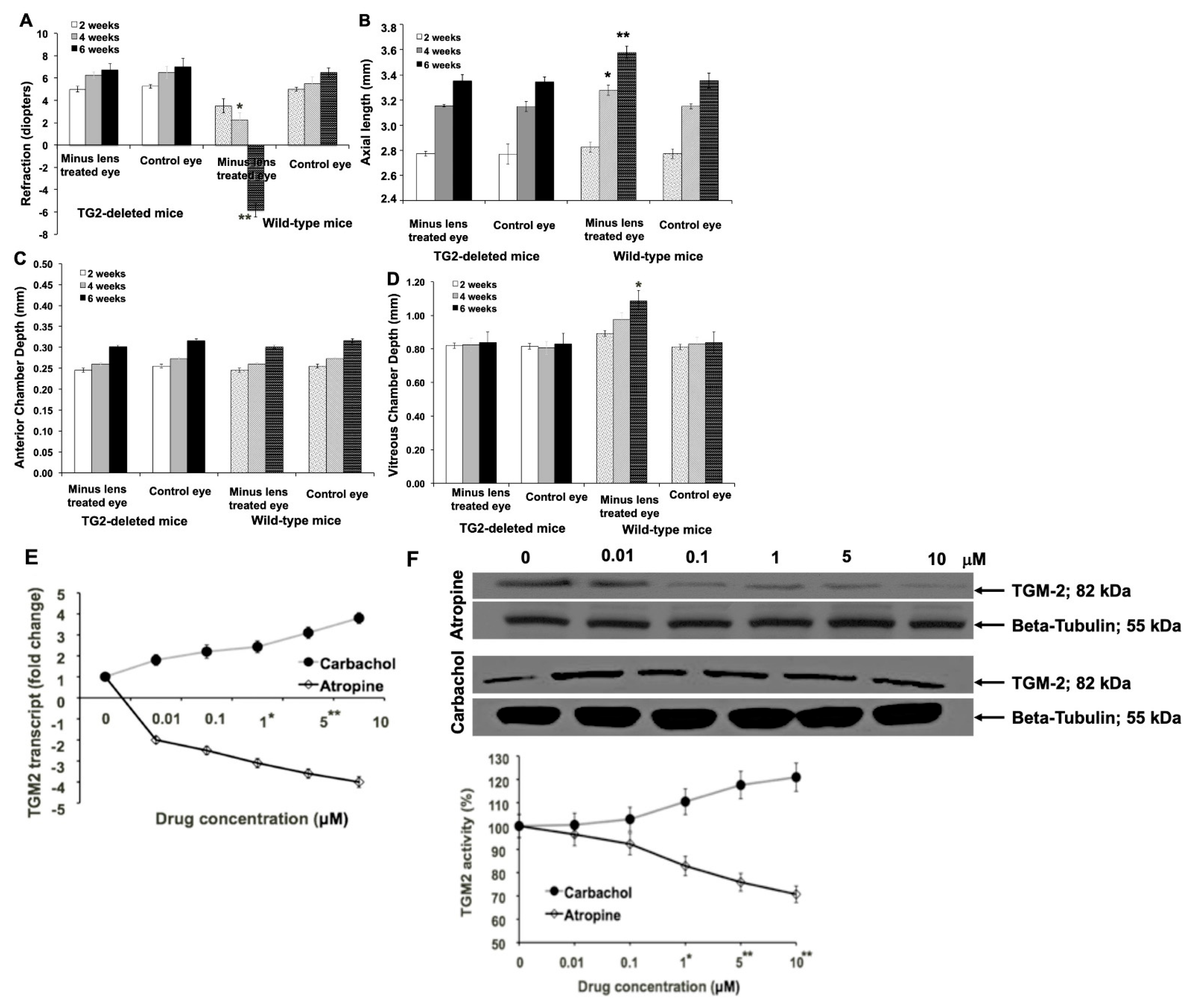 Biomolecules 13 01045 g002